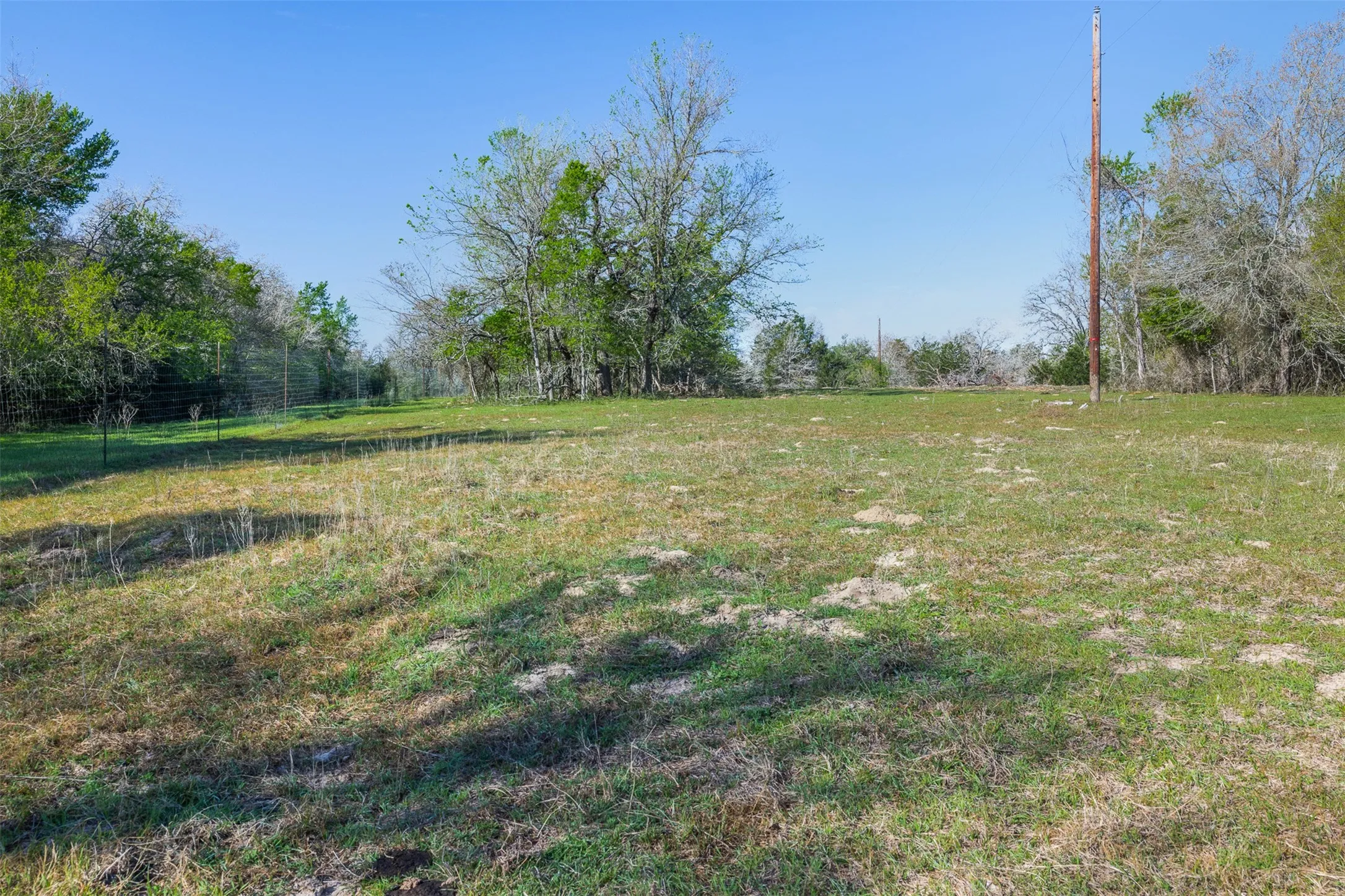 Expansive grassy area surrounded by mature trees