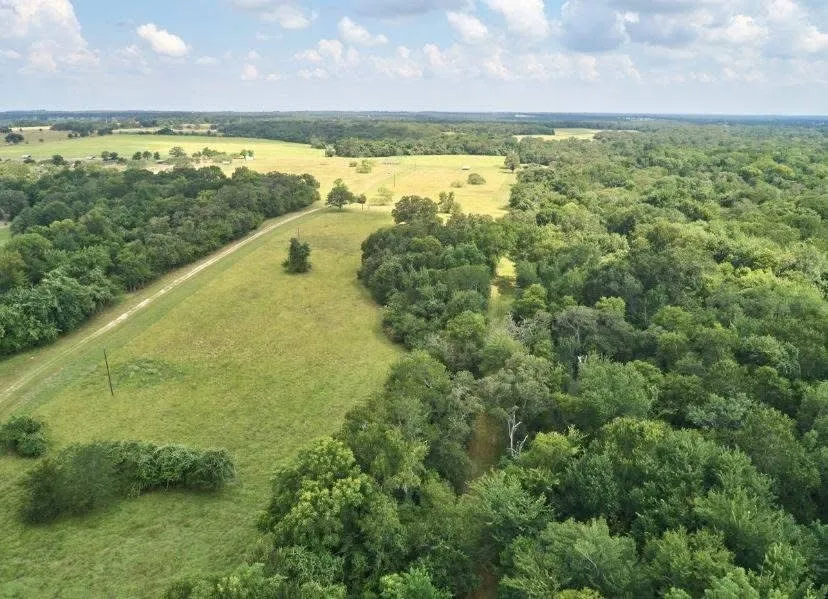 Expansive acreage featuring abundant mature trees, open grassy areas, and a visible dirt road