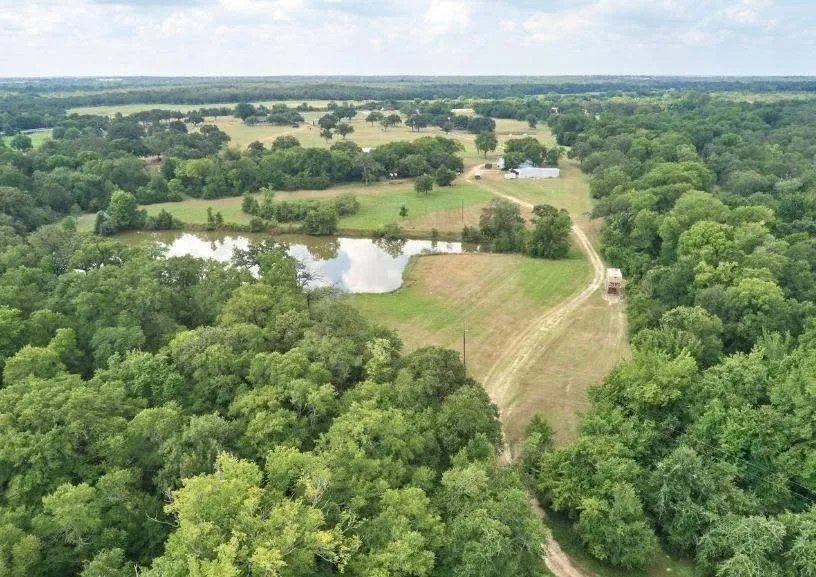 Expansive tree-lined property featuring a large pond and multiple open fields