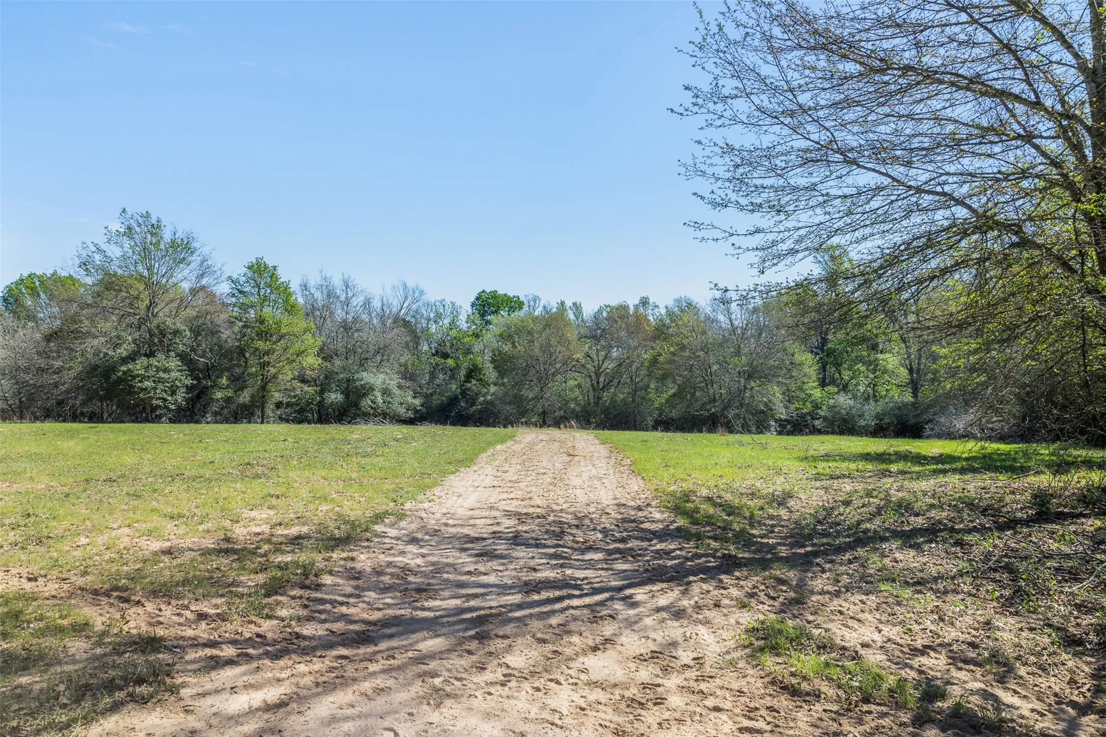 Expansive open field with a natural dirt path, bordered by mature trees and varied foliage