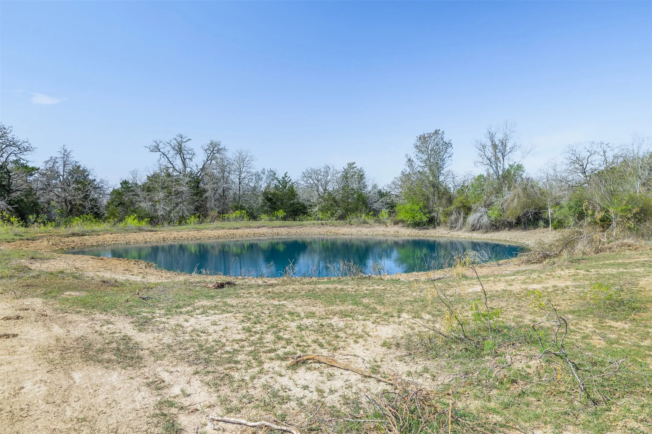 Pond with clear blue water surrounded by natural terrain and mature trees