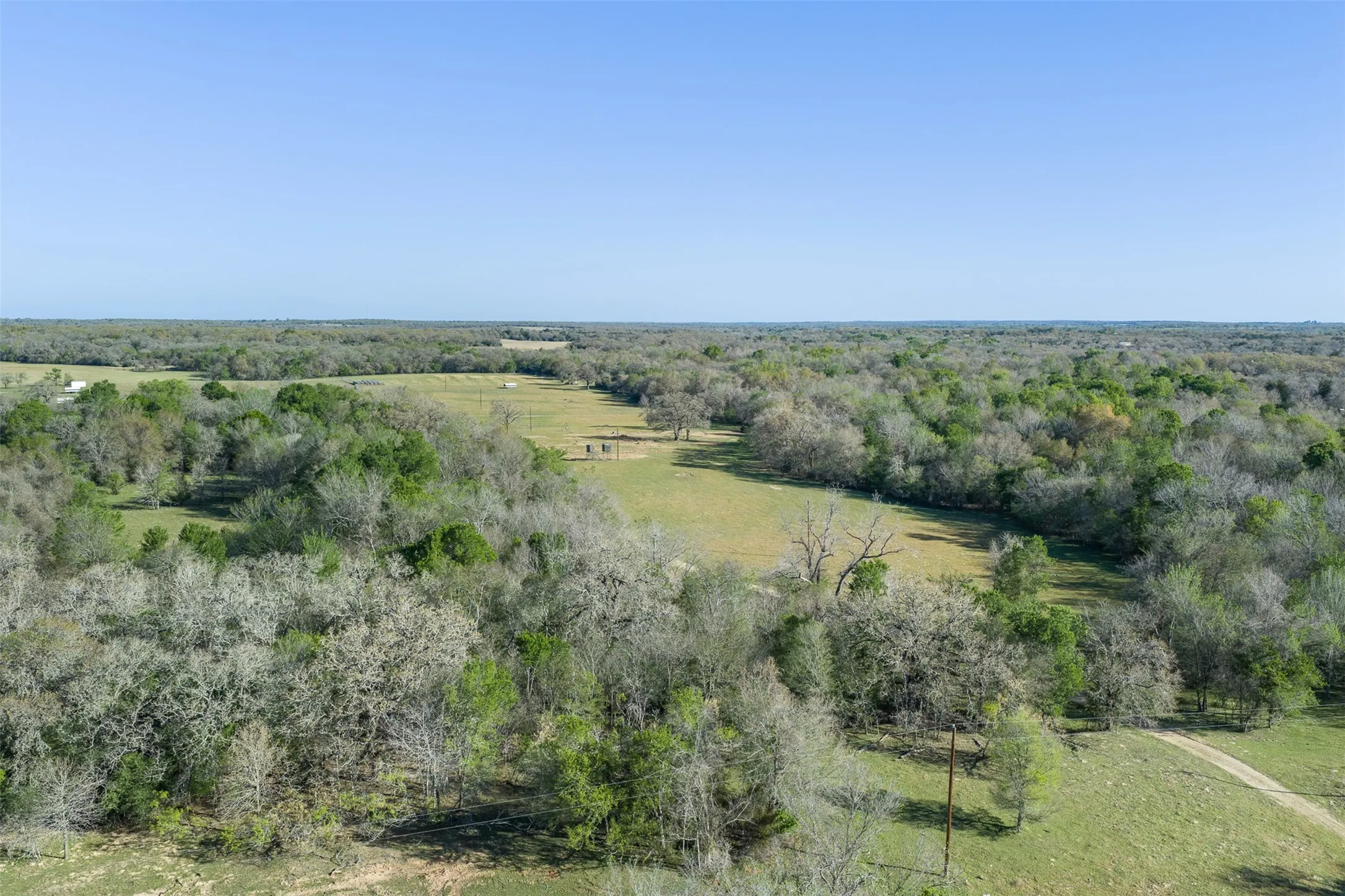 Expansive acreage featuring mature trees and open clearings