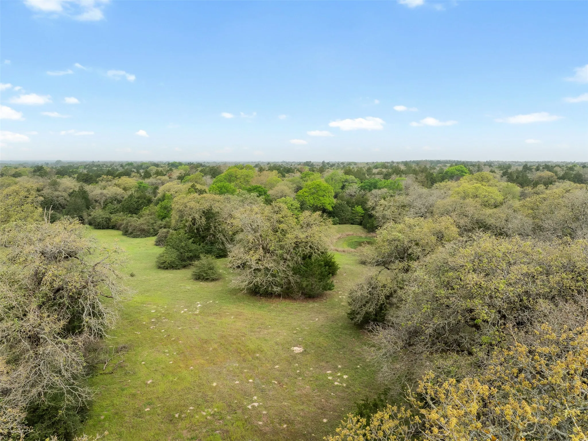 Expansive natural landscape featuring lush green foliage and mature trees under a clear sky