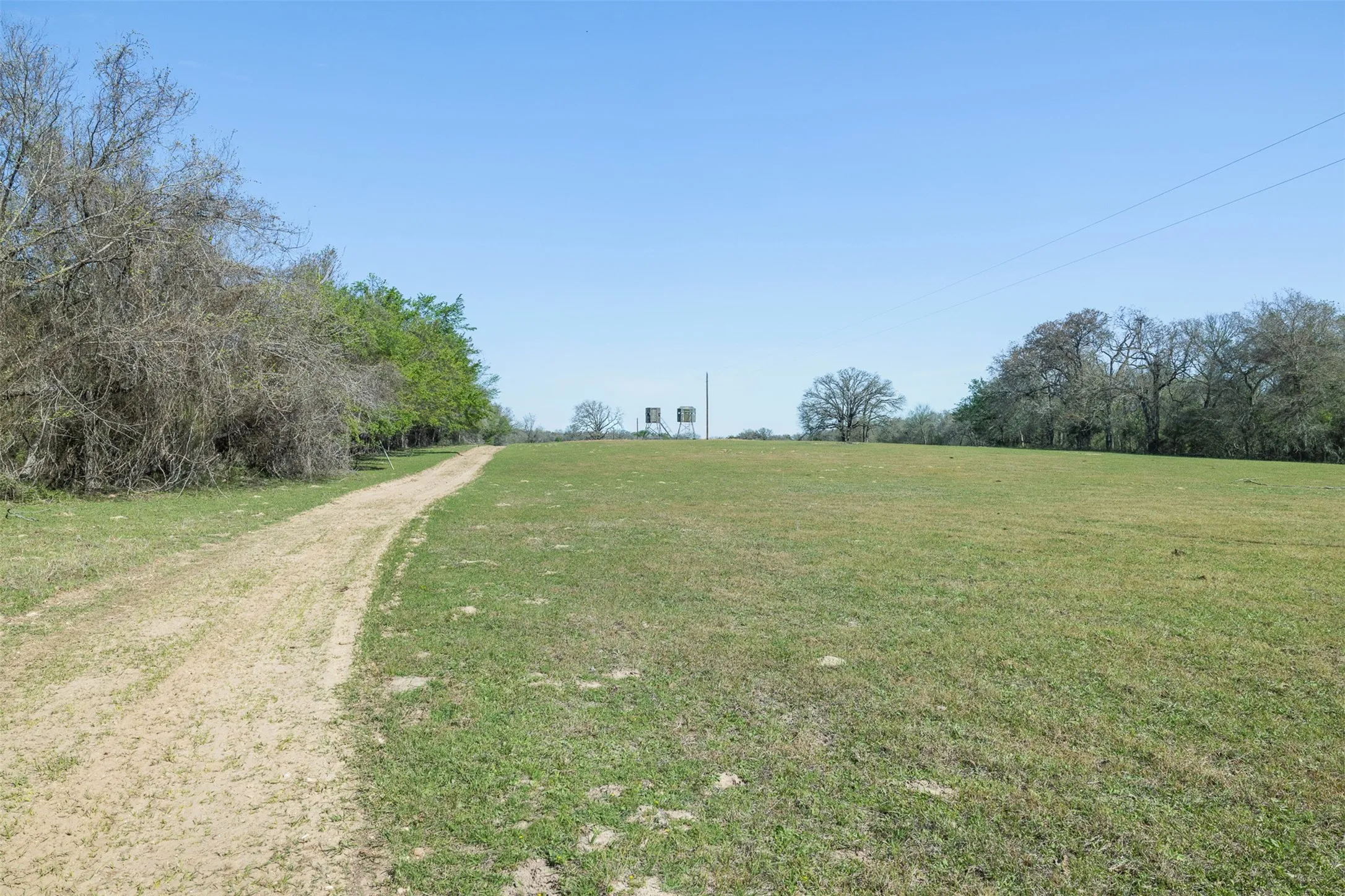 Expansive grassy field with a dirt path, mature trees bordering the property, and two distant structures