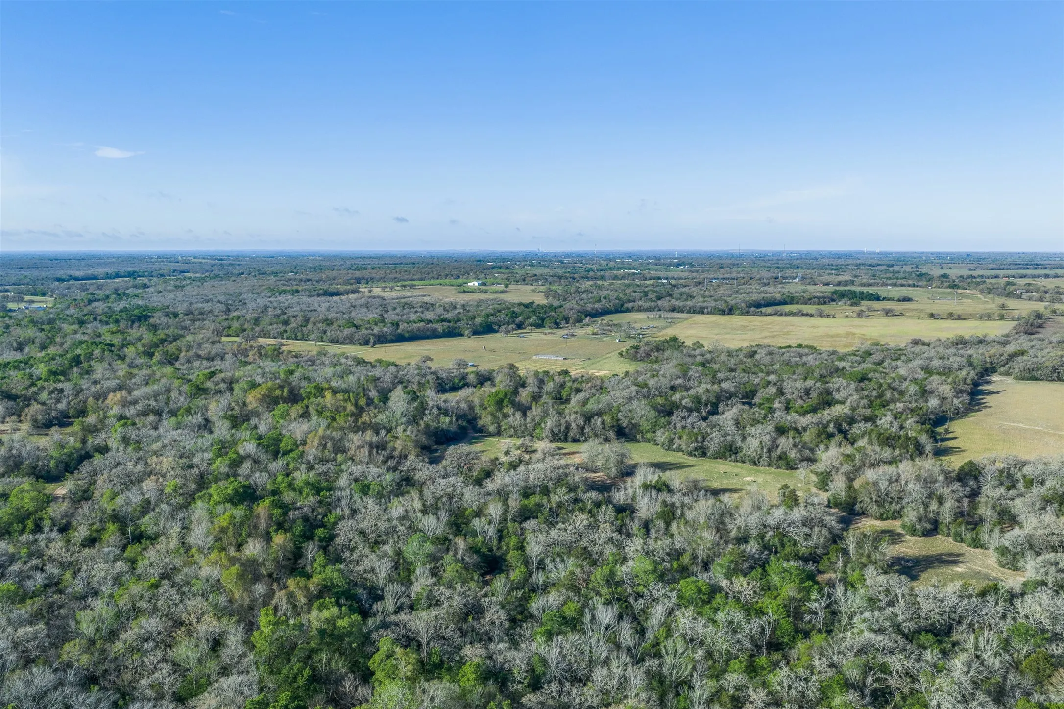 Expansive land parcel featuring diverse tree cover and open grassy areas