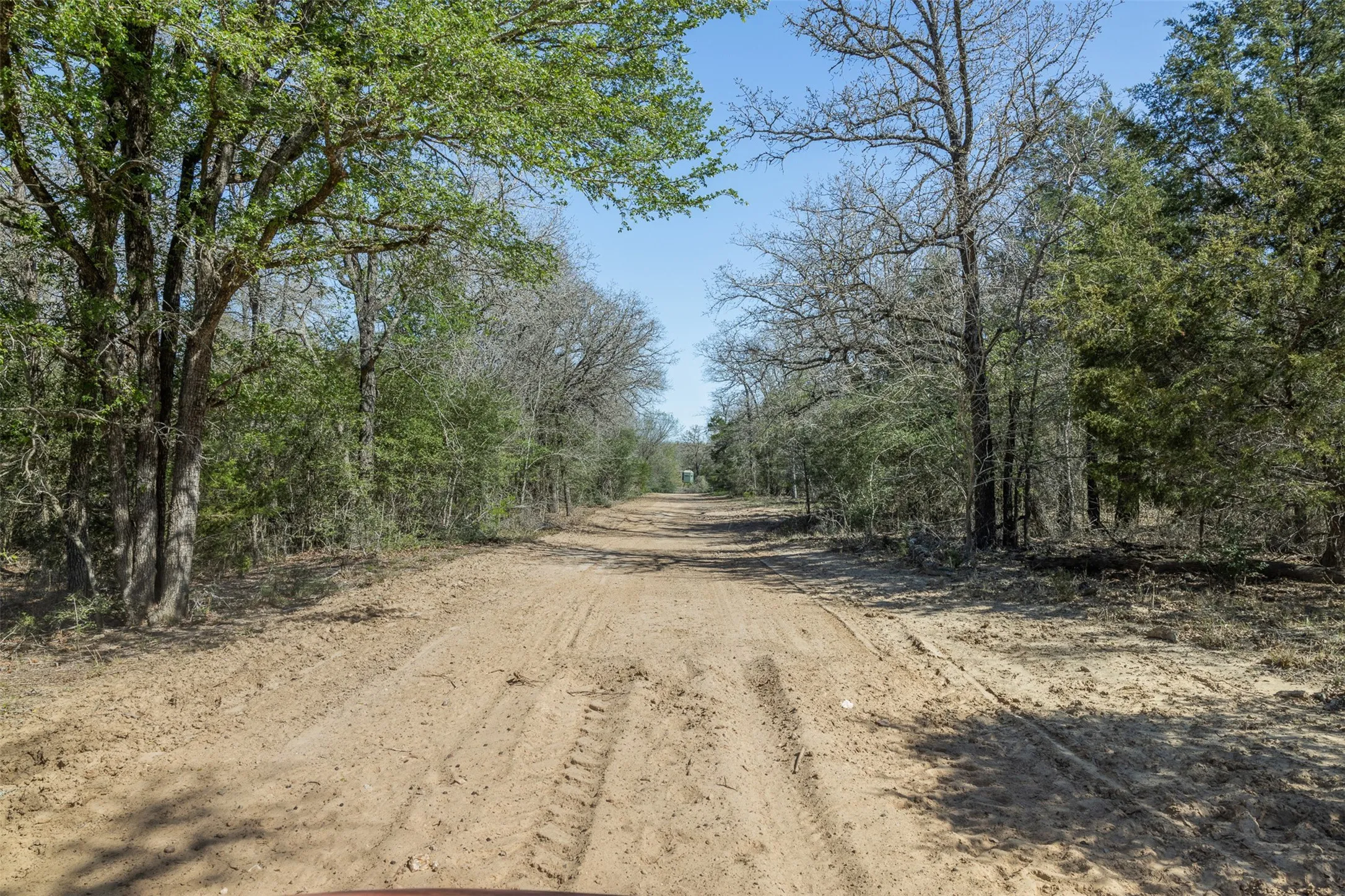 Expansive undeveloped land featuring mature trees and a natural terrain path