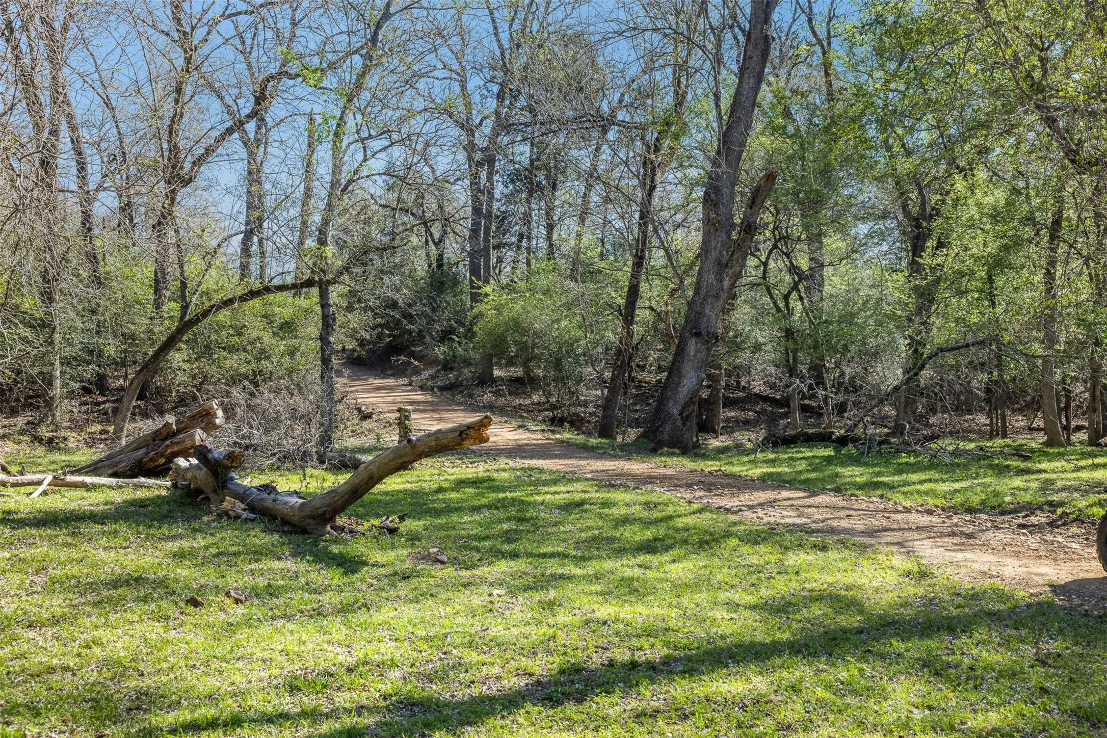 Wooded lot featuring a natural path, mature trees, and grassy areas