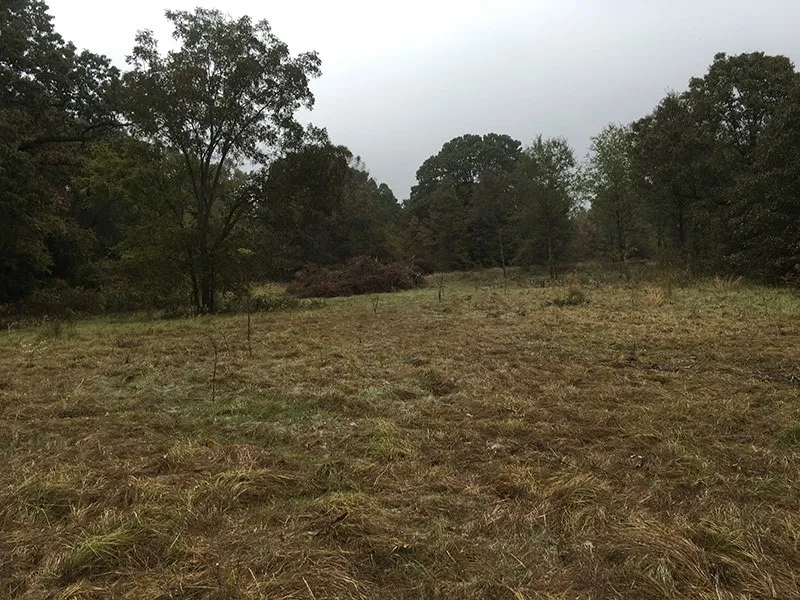 Unimproved Land For Sale in Rains County , Rains County Rd #3150, Emory, Texas 75440, 0, 0, Garage spaces, 0 Sqft, built in 0, mls#21393626, Real Estate Agent in Emory, Homes For Sale in Rains county, Homes For Sale in Emory, Realtor in Emory Texas, Real Estate Brokerage Independent Realty Texas, Luminita Cordes Realtor