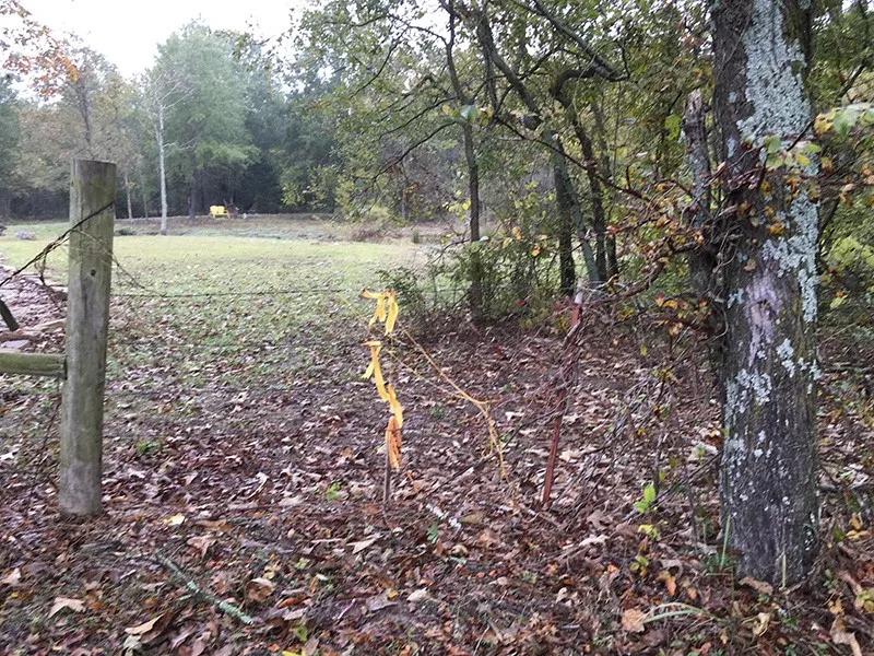 Unimproved Land For Sale in Rains County , Rains County Rd #3150, Emory, Texas 75440, 0, 0, Garage spaces, 0 Sqft, built in 0, mls#21393626, Real Estate Agent in Emory, Homes For Sale in Rains county, Homes For Sale in Emory, Realtor in Emory Texas, Real Estate Brokerage Independent Realty Texas, Luminita Cordes Realtor