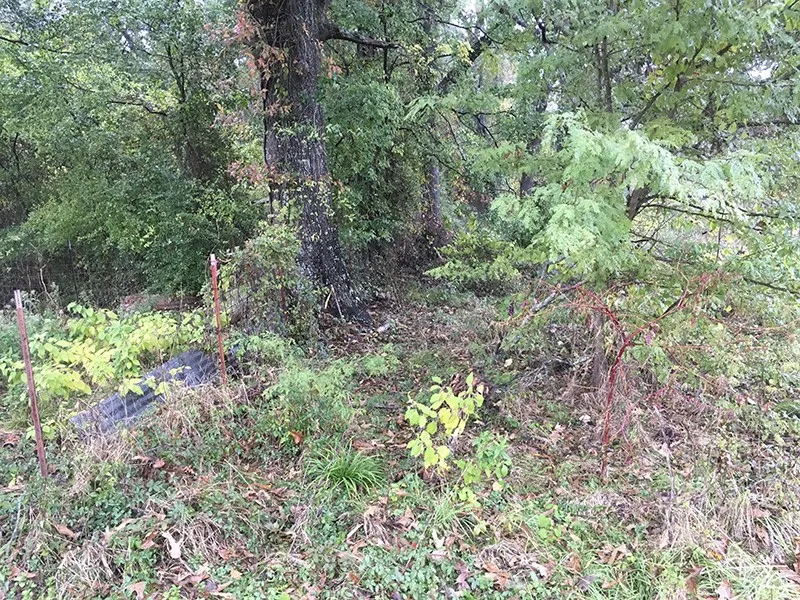 Unimproved Land For Sale in Rains County , Rains County Rd #3150, Emory, Texas 75440, 0, 0, Garage spaces, 0 Sqft, built in 0, mls#21393626, Real Estate Agent in Emory, Homes For Sale in Rains county, Homes For Sale in Emory, Realtor in Emory Texas, Real Estate Brokerage Independent Realty Texas, Luminita Cordes Realtor