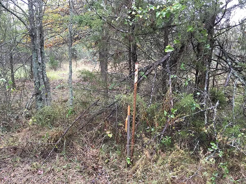 Unimproved Land For Sale in Rains County , Rains County Rd #3150, Emory, Texas 75440, 0, 0, Garage spaces, 0 Sqft, built in 0, mls#21393626, Real Estate Agent in Emory, Homes For Sale in Rains county, Homes For Sale in Emory, Realtor in Emory Texas, Real Estate Brokerage Independent Realty Texas, Luminita Cordes Realtor