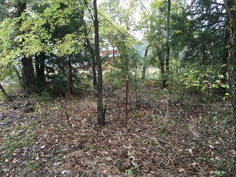 Unimproved Land For Sale in Rains County , Rains County Rd #3150, Emory, Texas 75440, 0, 0, Garage spaces, 0 Sqft, built in 0, mls#21393626, Real Estate Agent in Emory, Homes For Sale in Rains county, Homes For Sale in Emory, Realtor in Emory Texas, Real Estate Brokerage Independent Realty Texas, Luminita Cordes Realtor