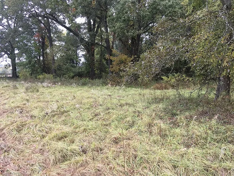 Unimproved Land For Sale in Rains County , Rains County Rd #3150, Emory, Texas 75440, 0, 0, Garage spaces, 0 Sqft, built in 0, mls#21393626, Real Estate Agent in Emory, Homes For Sale in Rains county, Homes For Sale in Emory, Realtor in Emory Texas, Real Estate Brokerage Independent Realty Texas, Luminita Cordes Realtor