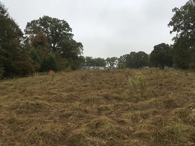 Unimproved Land For Sale in Rains County , Rains County Rd #3150, Emory, Texas 75440, 0, 0, Garage spaces, 0 Sqft, built in 0, mls#21393626, Real Estate Agent in Emory, Homes For Sale in Rains county, Homes For Sale in Emory, Realtor in Emory Texas, Real Estate Brokerage Independent Realty Texas, Luminita Cordes Realtor