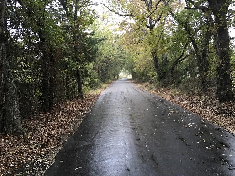 Unimproved Land For Sale in Rains County , Rains County Rd #3150, Emory, Texas 75440, 0, 0, Garage spaces, 0 Sqft, built in 0, mls#21393626, Real Estate Agent in Emory, Homes For Sale in Rains county, Homes For Sale in Emory, Realtor in Emory Texas, Real Estate Brokerage Independent Realty Texas, Luminita Cordes Realtor