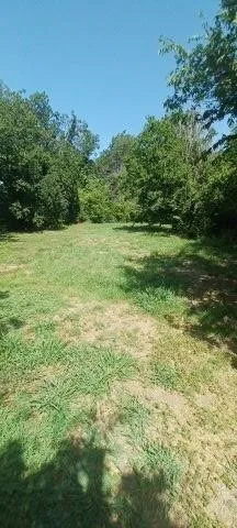 Expansive lot featuring mature trees and natural landscaping