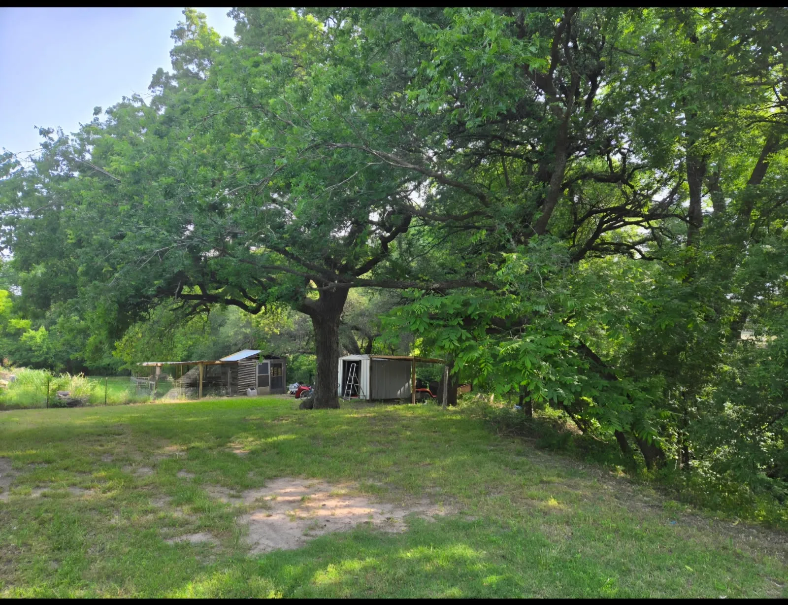 Expansive lot featuring mature trees, a metal shed, and a fenced enclosure