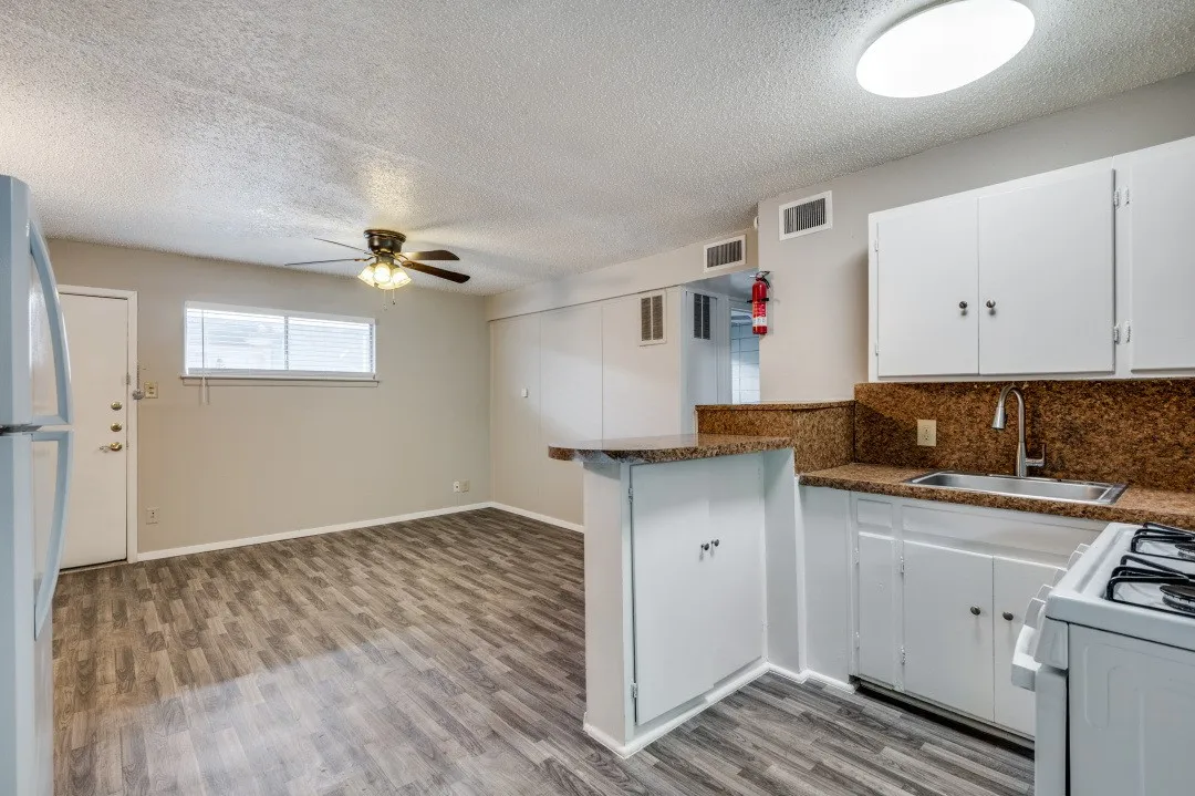 Wood-finish flooring throughout, white cabinetry, brown-flecked countertops, stainless steel sink with a gooseneck faucet, and a ceiling fan