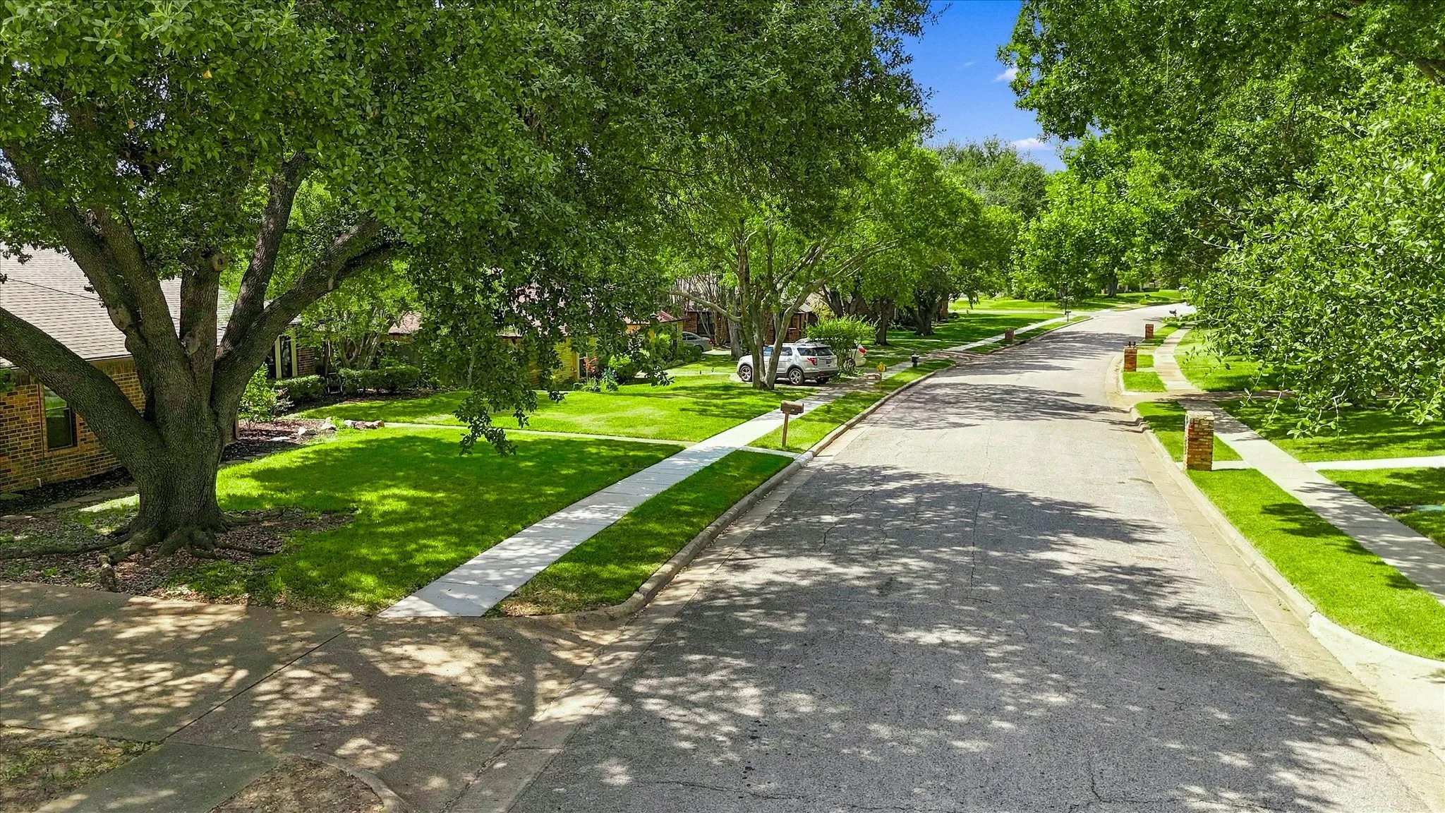 Beautiful Tree Lined Street with Long Private Driveways