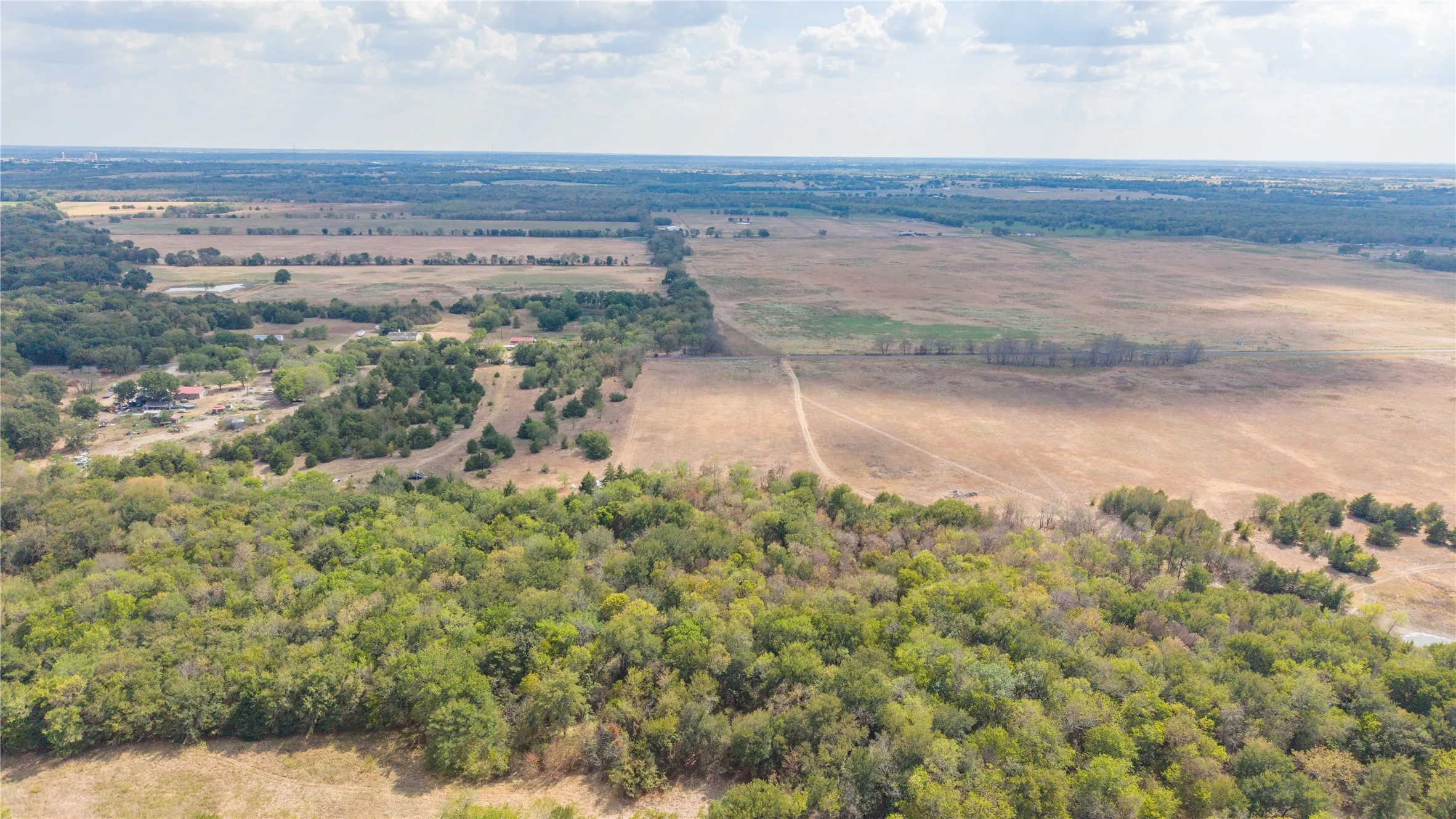 Dense grove of trees at the back of the property