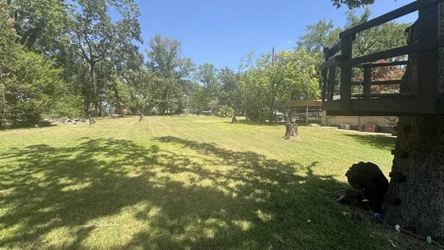 Yard and tree house