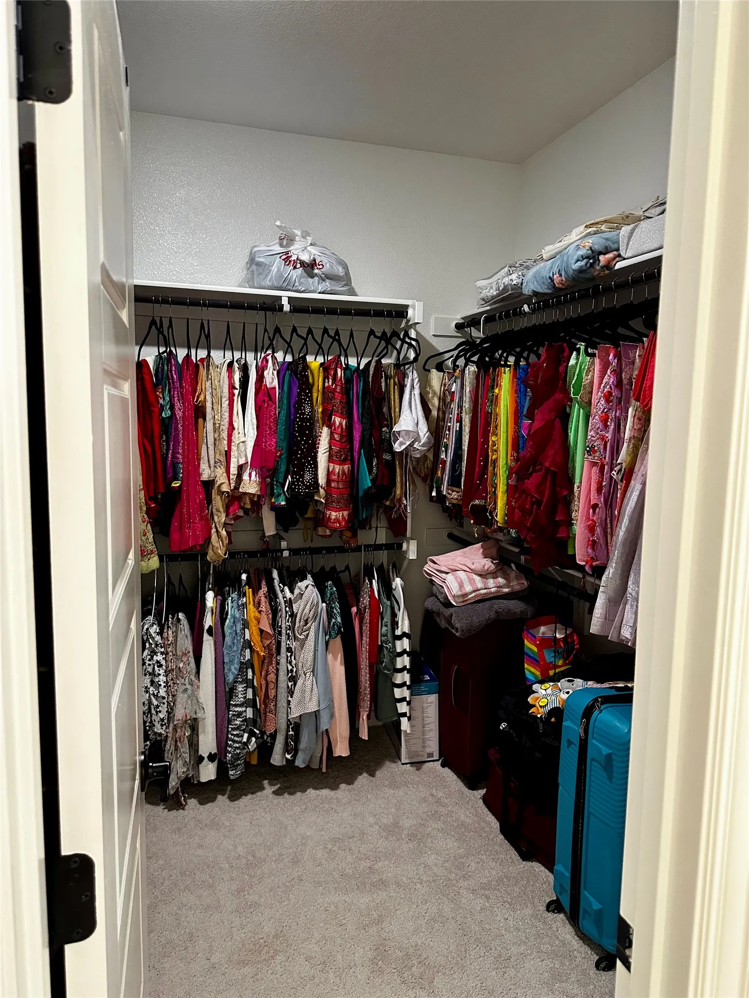 Walk-in closet featuring carpet flooring, built-in shelving, and hanging rods