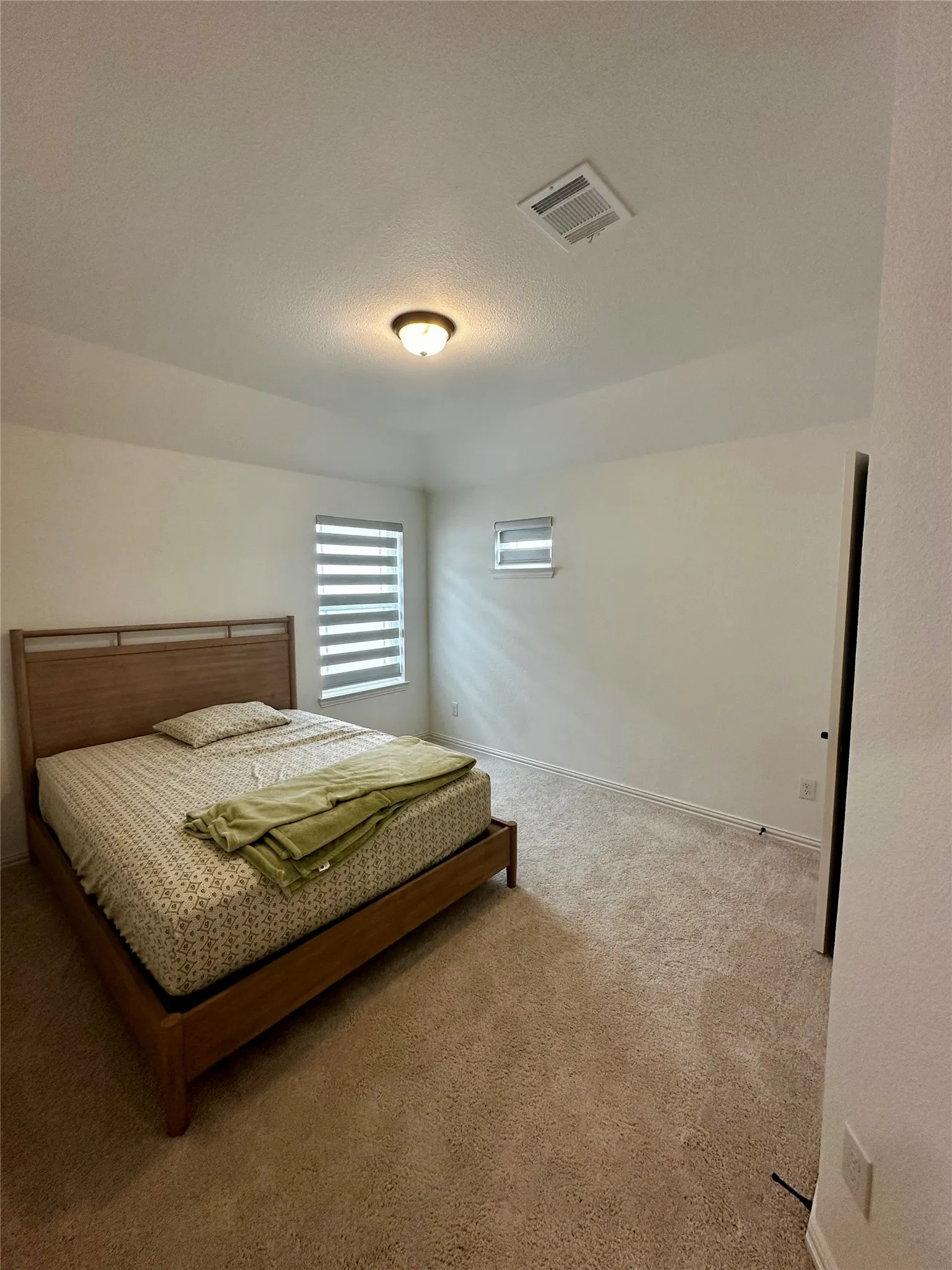 Carpeted flooring, two windows with horizontal blinds, and a ceiling-mounted light fixture