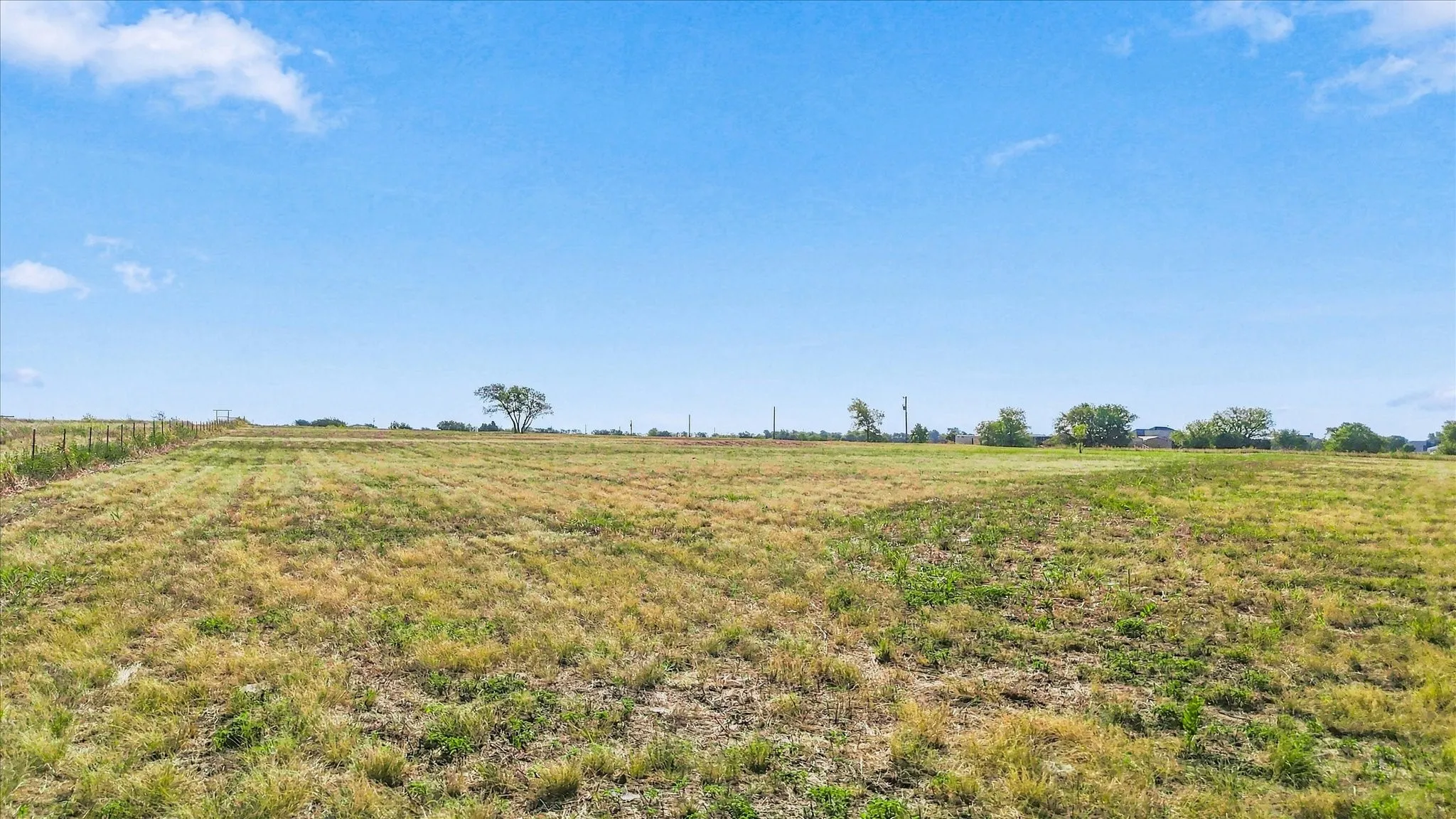 Expansive open field with scattered trees and clear sky