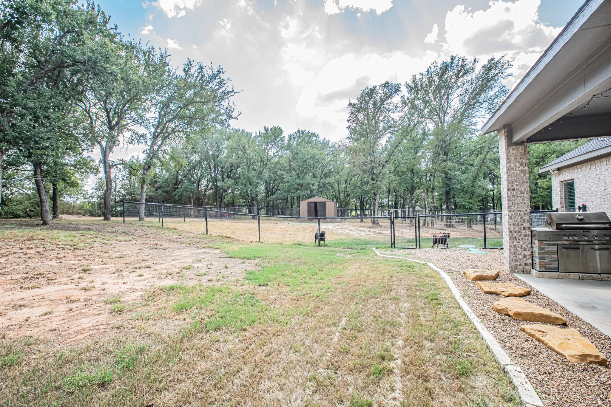 Expansive backyard featuring mature trees, a storage shed, and a fenced area