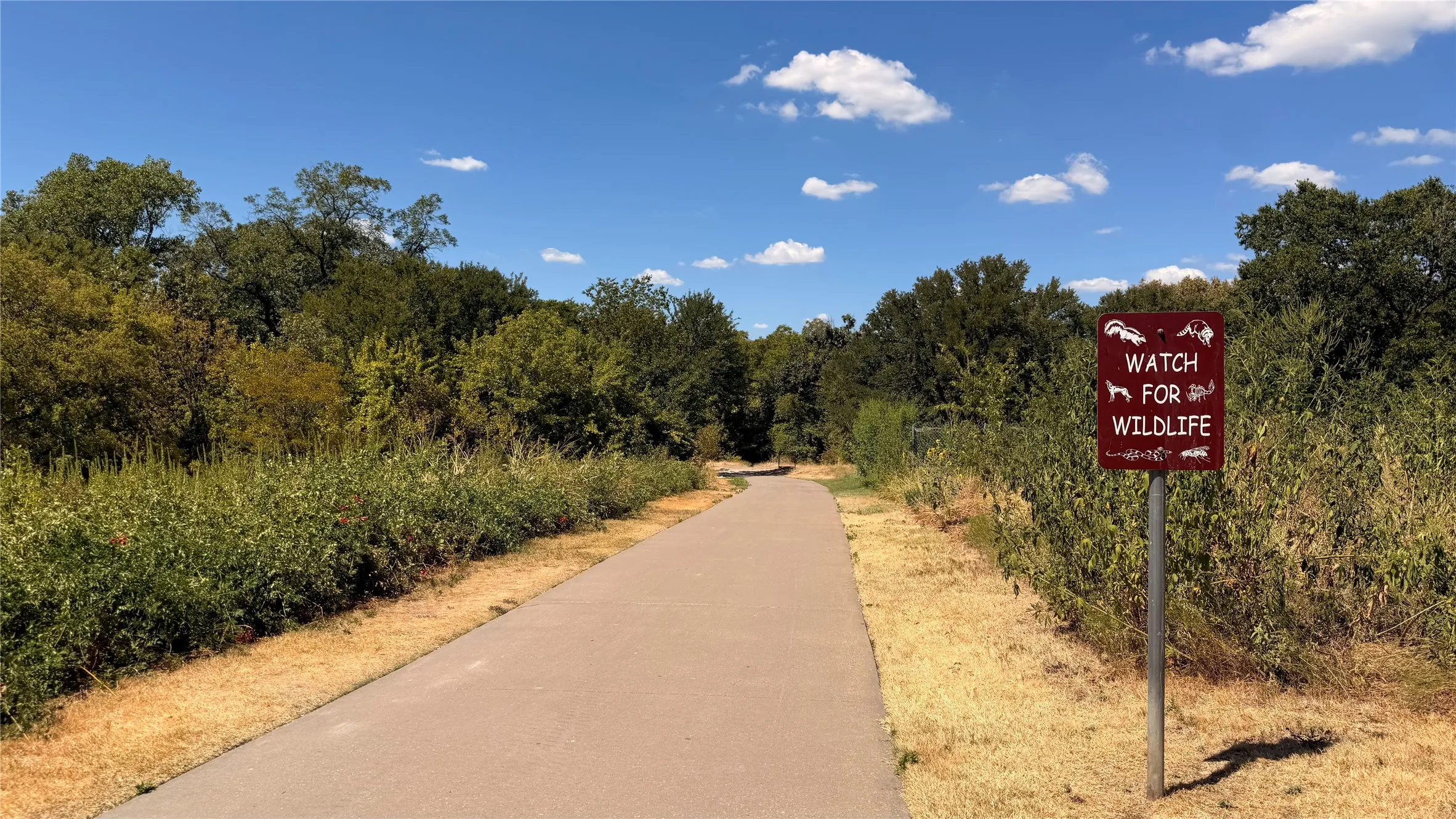 Walk to nearby Arbor Hills Nature Preserve.