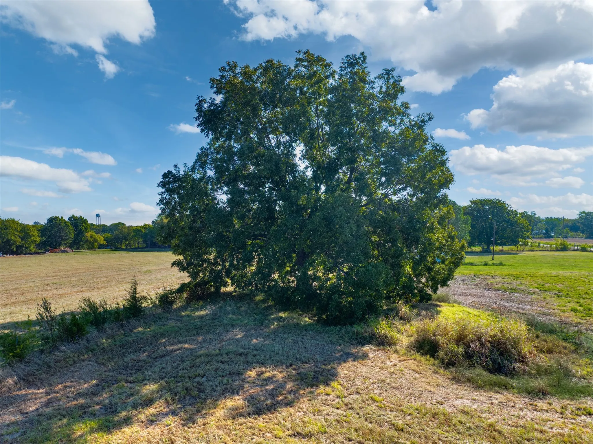 Improved Land For Sale in Lamar County , TBD County Road 34650, Sumner, Texas 75486, 0, 0, Garage spaces, 0 Sqft, built in 0, mls#21393890, Real Estate Agent in Sumner, Homes For Sale in Lamar county, Homes For Sale in Sumner, Realtor in Sumner Texas, Real Estate Brokerage Independent Realty Texas, Luminita Cordes Realtor