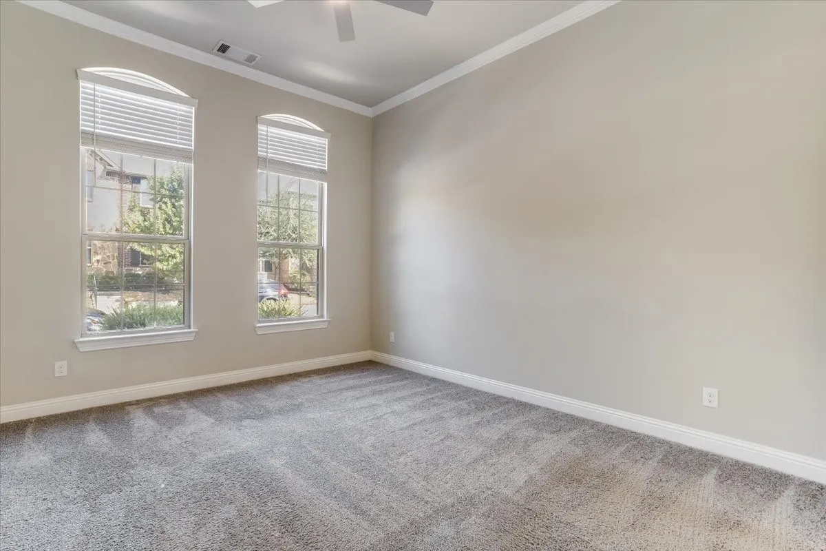Dual arched windows with blinds, crown molding, ceiling fan, and grey carpet flooring