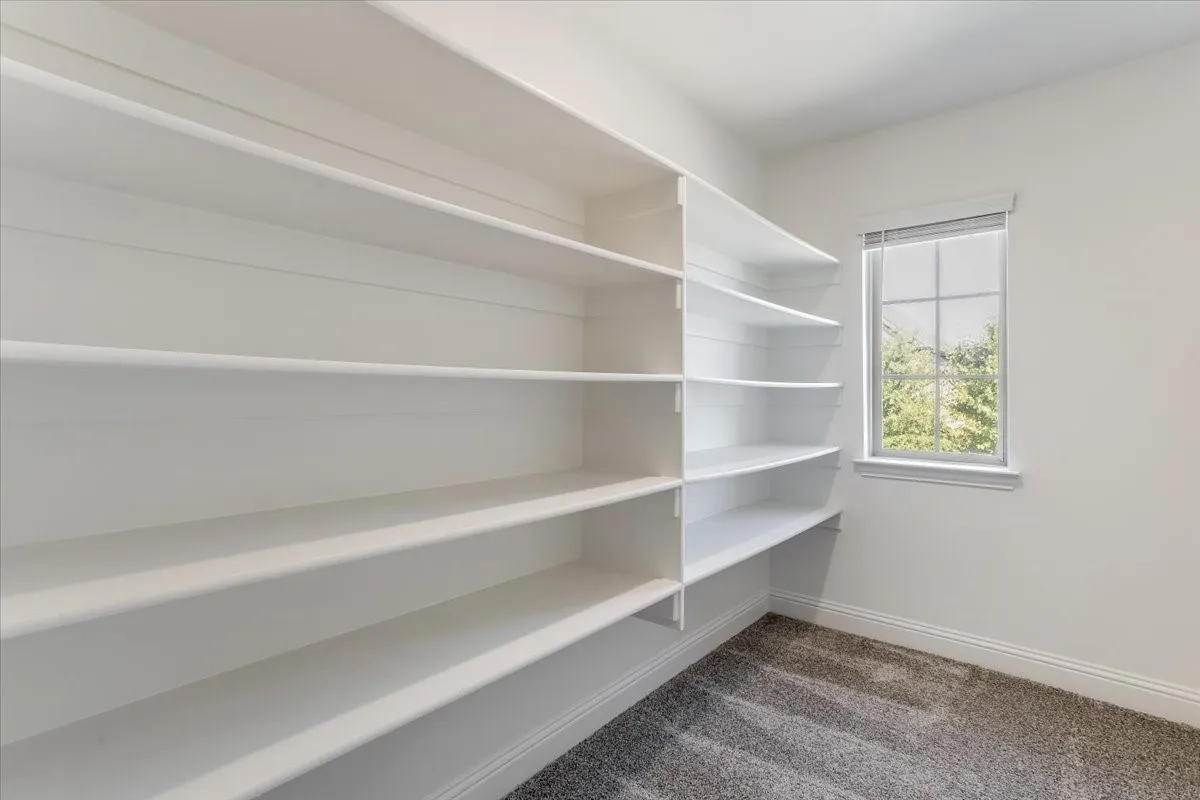 Built-in shelving with multiple levels, double-hung window, and gray carpeting