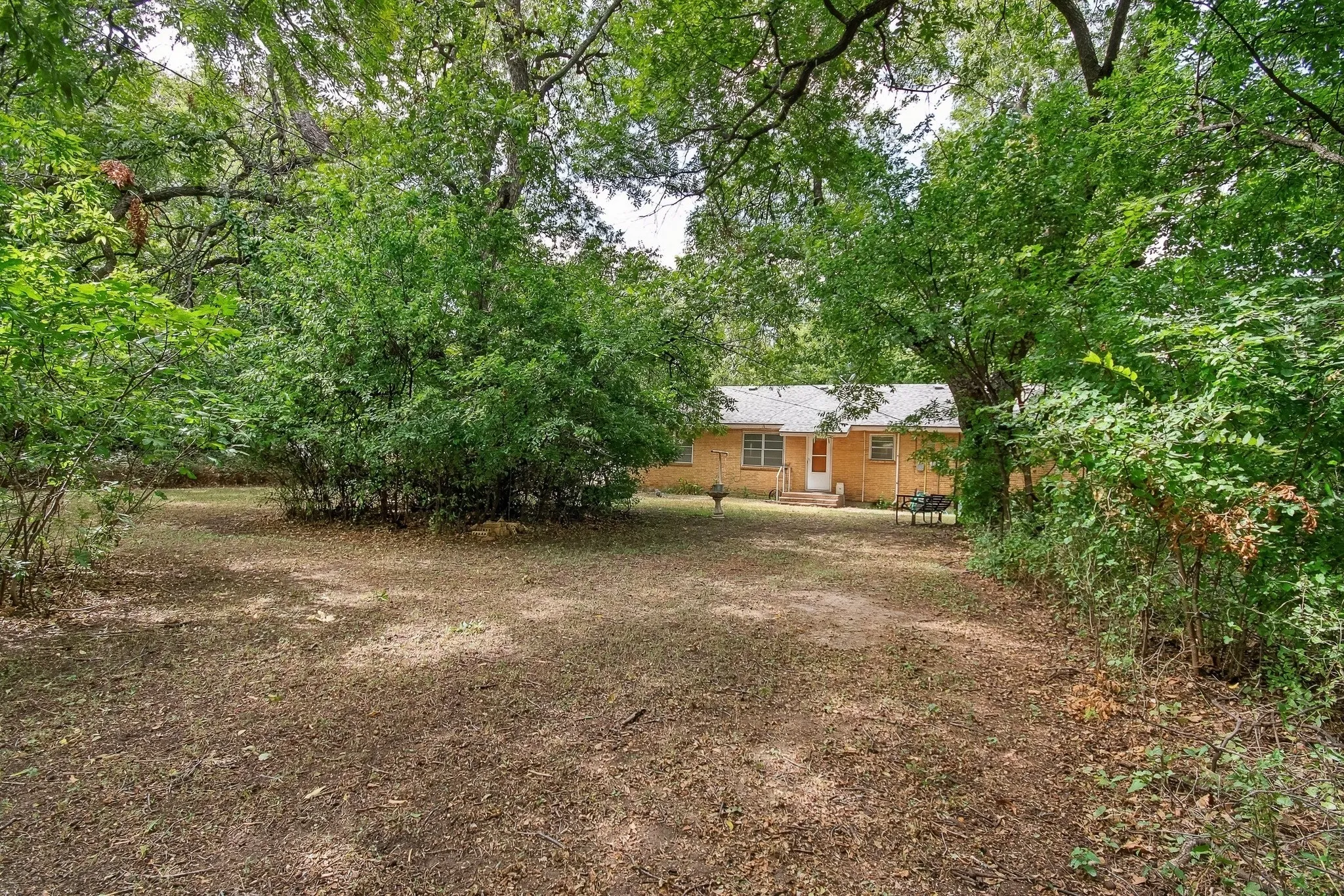 Wooded surroundings with mature trees providing extensive coverage