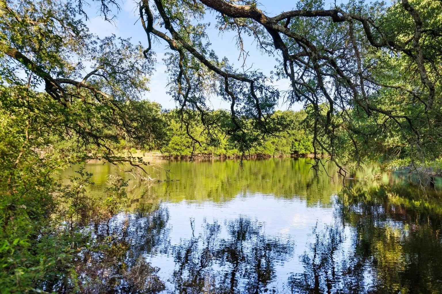 Farm For Sale in Coryell County , 11670 E US Highway 84, Gatesville, Texas 76528, 4 Bedroom, 8 Bathroom, 3 Garage spaces, 8,706 Sqft, built in 2008, mls#21391851, Real Estate Agent in Gatesville, Homes For Sale in Coryell county, Homes For Sale in Gatesville, Realtor in Gatesville Texas, Real Estate Brokerage Independent Realty Texas, Luminita Cordes Realtor
