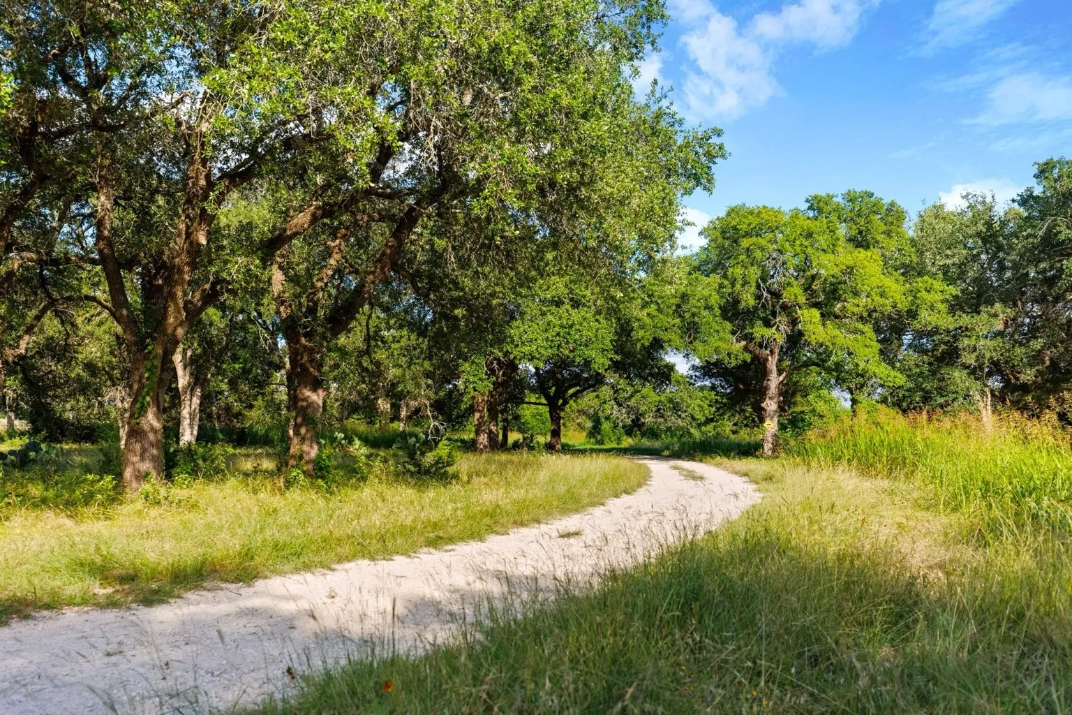Farm For Sale in Coryell County , 11670 E US Highway 84, Gatesville, Texas 76528, 4 Bedroom, 8 Bathroom, 3 Garage spaces, 8,706 Sqft, built in 2008, mls#21391851, Real Estate Agent in Gatesville, Homes For Sale in Coryell county, Homes For Sale in Gatesville, Realtor in Gatesville Texas, Real Estate Brokerage Independent Realty Texas, Luminita Cordes Realtor