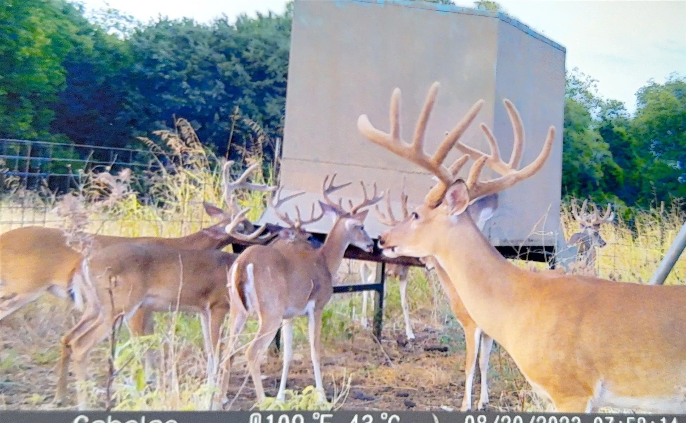 Farm For Sale in Coryell County , 11670 E US Highway 84, Gatesville, Texas 76528, 4 Bedroom, 8 Bathroom, 3 Garage spaces, 8,706 Sqft, built in 2008, mls#21391851, Real Estate Agent in Gatesville, Homes For Sale in Coryell county, Homes For Sale in Gatesville, Realtor in Gatesville Texas, Real Estate Brokerage Independent Realty Texas, Luminita Cordes Realtor