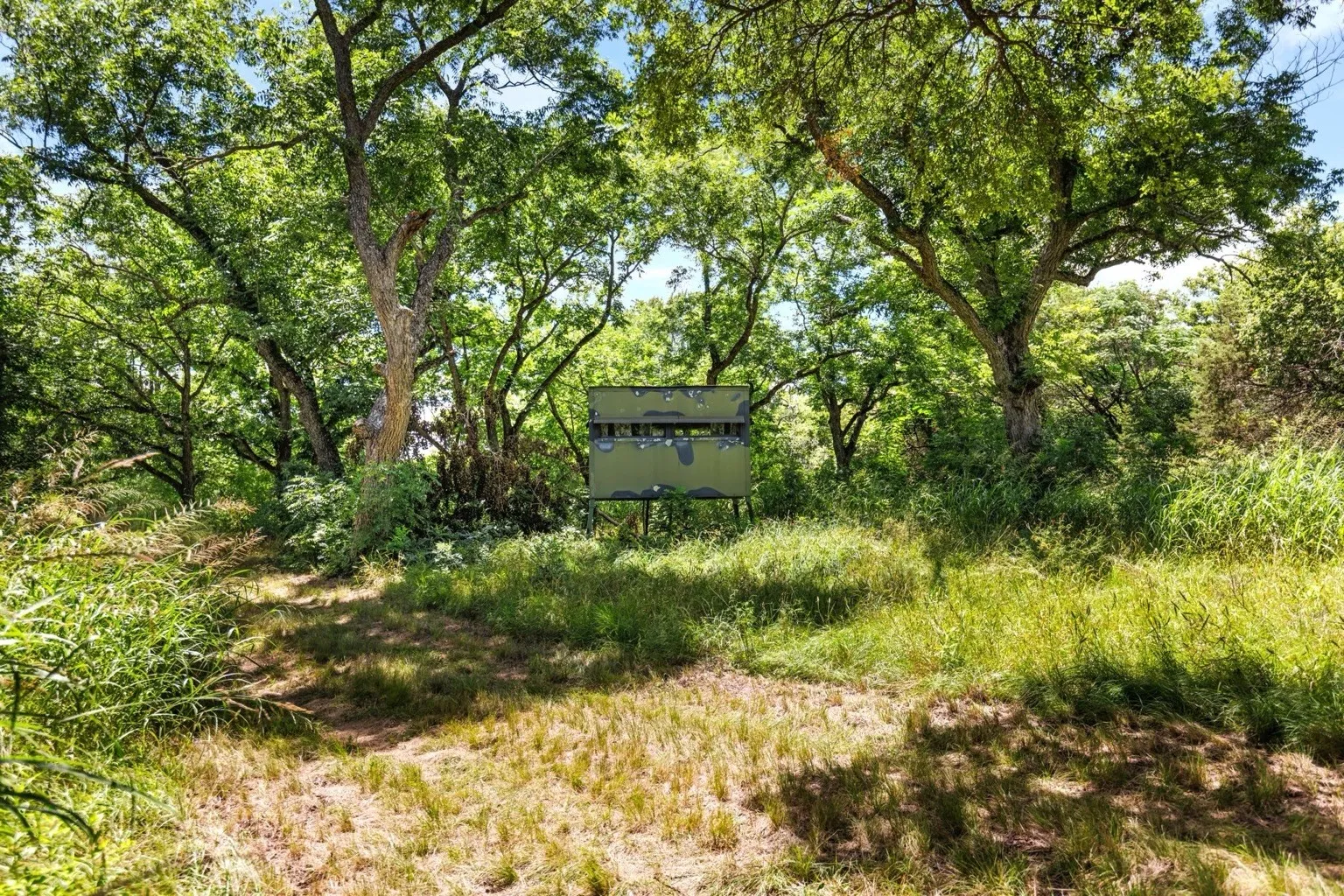 Farm For Sale in Coryell County , 11670 E US Highway 84, Gatesville, Texas 76528, 4 Bedroom, 8 Bathroom, 3 Garage spaces, 8,706 Sqft, built in 2008, mls#21391851, Real Estate Agent in Gatesville, Homes For Sale in Coryell county, Homes For Sale in Gatesville, Realtor in Gatesville Texas, Real Estate Brokerage Independent Realty Texas, Luminita Cordes Realtor