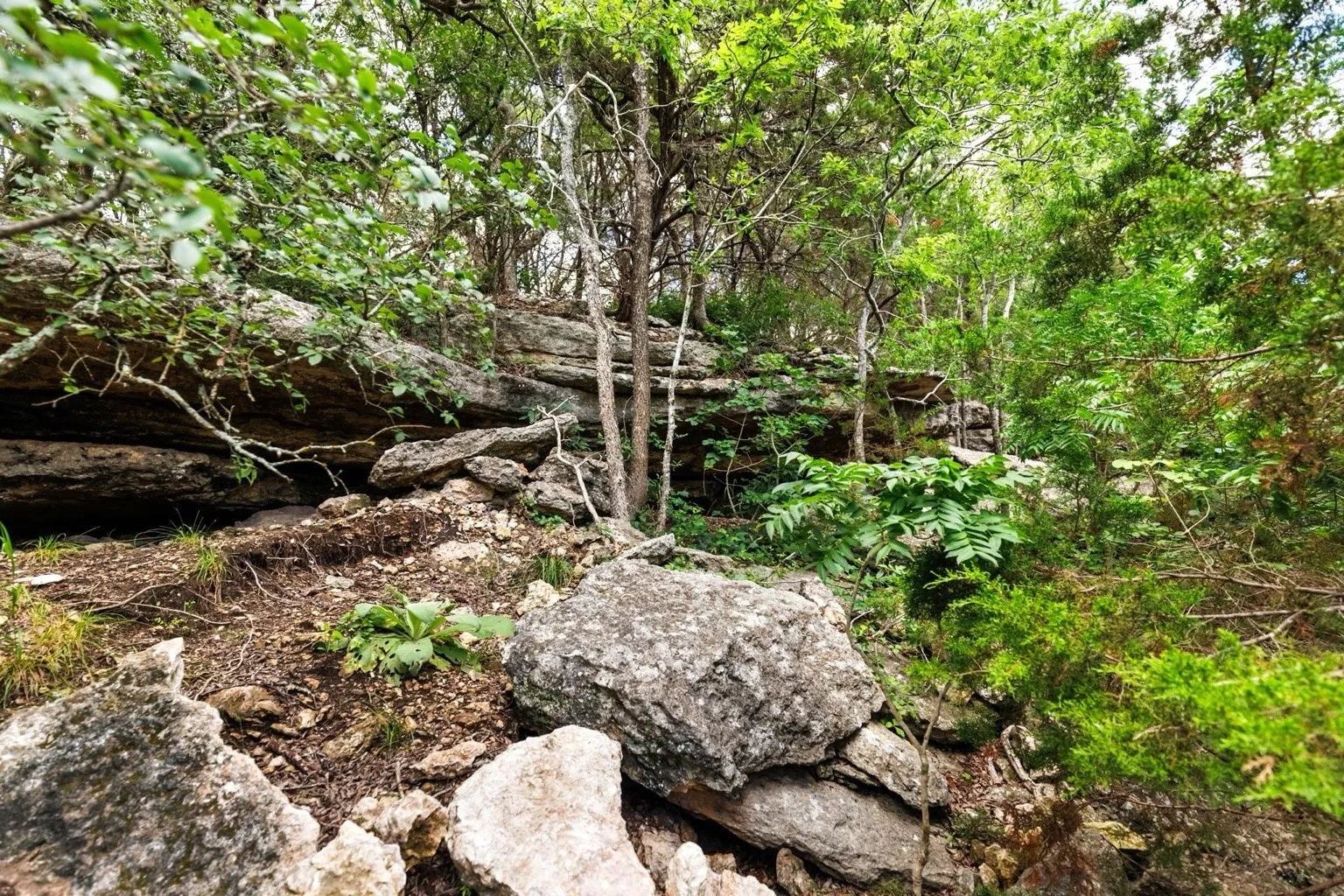 Farm For Sale in Coryell County , 11670 E US Highway 84, Gatesville, Texas 76528, 4 Bedroom, 8 Bathroom, 3 Garage spaces, 8,706 Sqft, built in 2008, mls#21391851, Real Estate Agent in Gatesville, Homes For Sale in Coryell county, Homes For Sale in Gatesville, Realtor in Gatesville Texas, Real Estate Brokerage Independent Realty Texas, Luminita Cordes Realtor