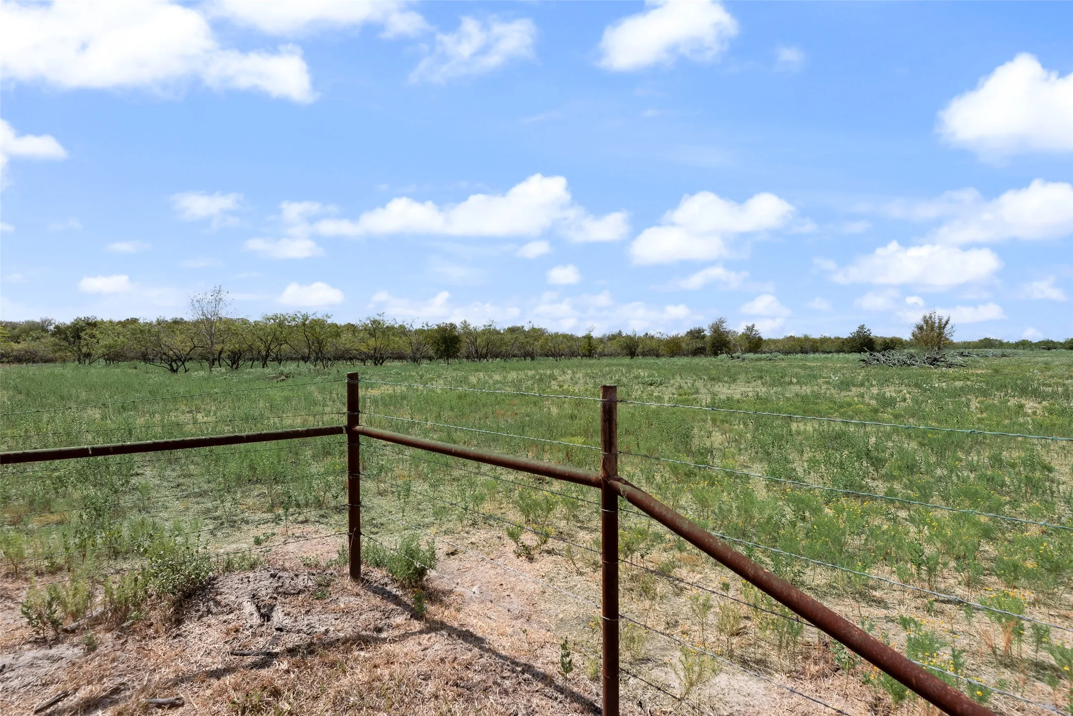 Expansive open land with a partial wire fence, featuring green ground cover and distant mature trees