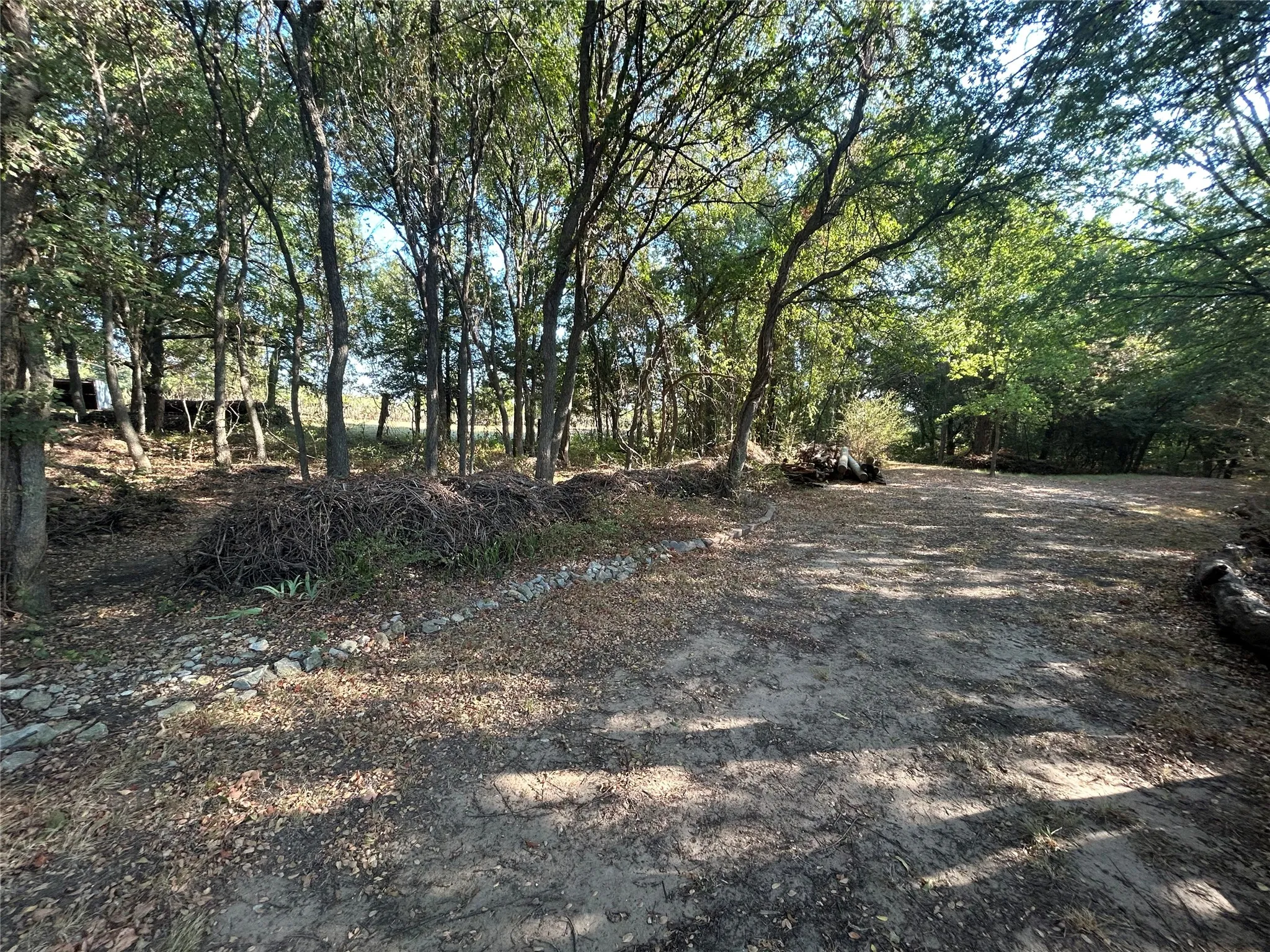 Wooded lot with mature trees and a natural ground cover
