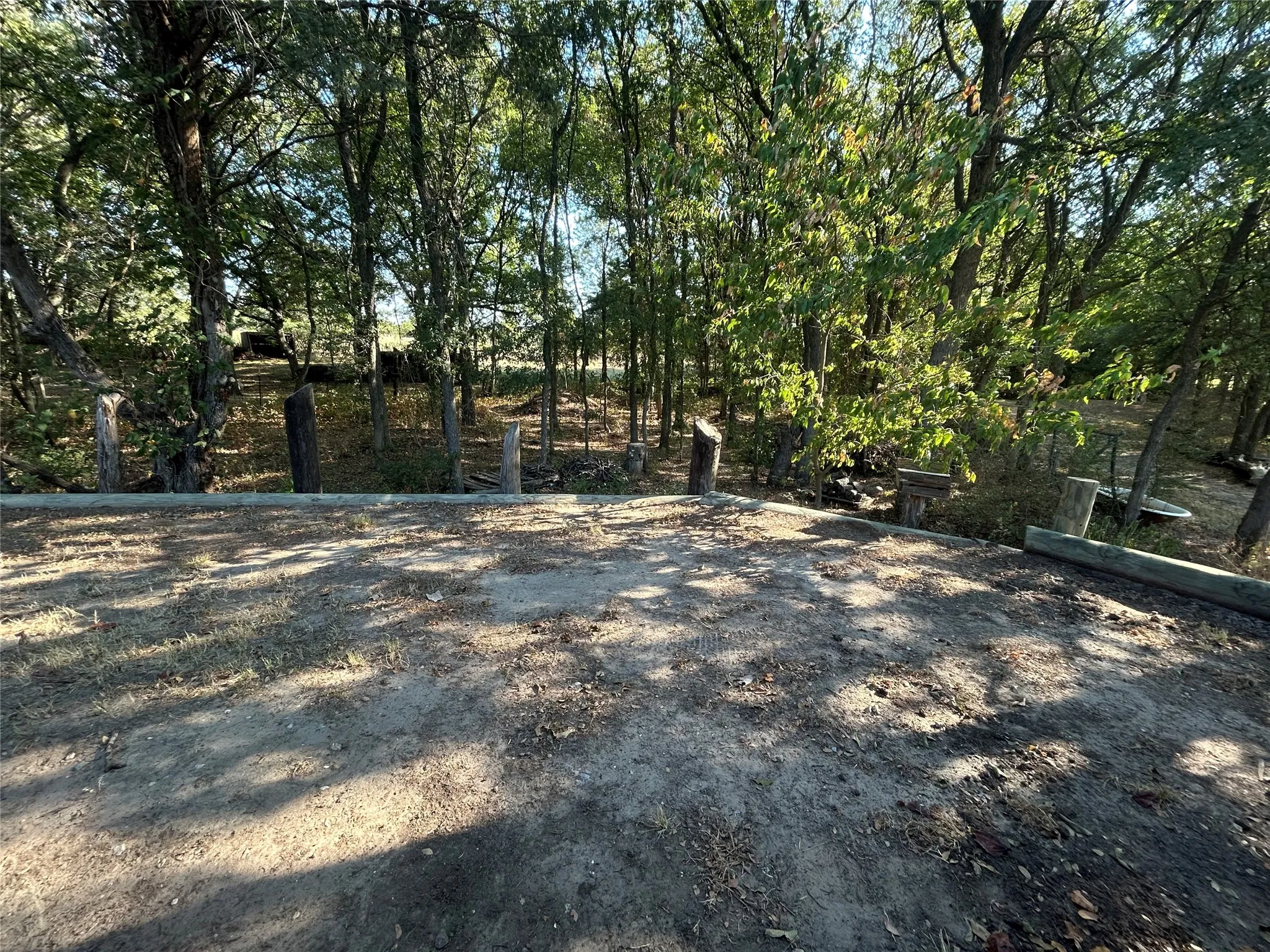 Wooded lot with mature trees