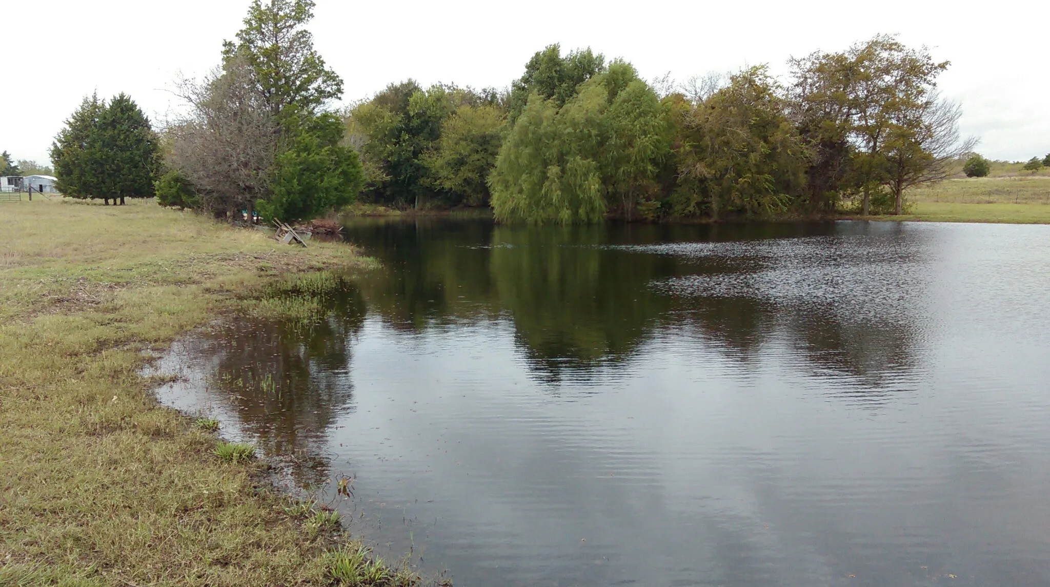 Expansive pond feature bordered by natural foliage and a grassy bank