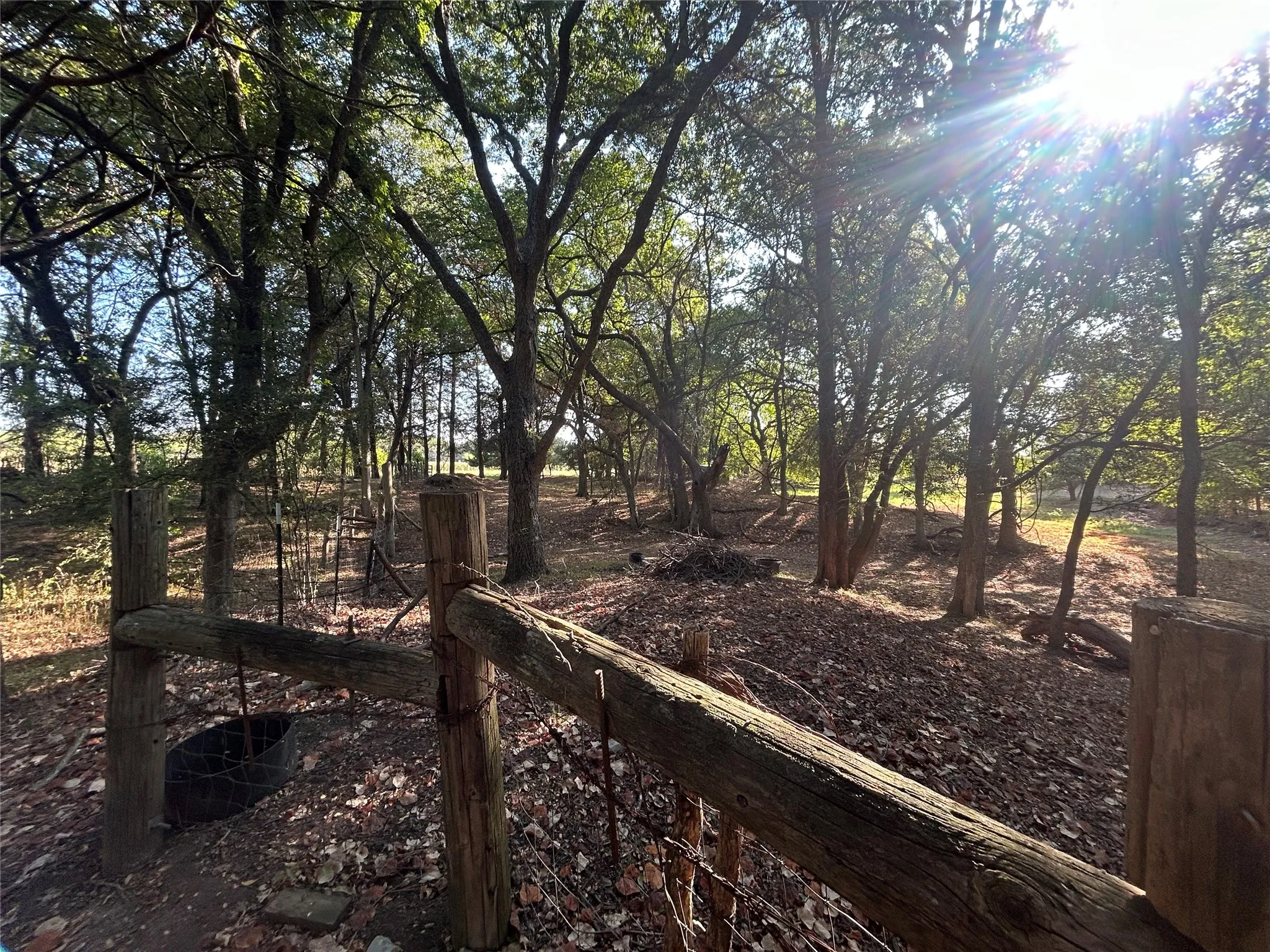 Wood fence with wire detailing, mature trees, and natural ground cover