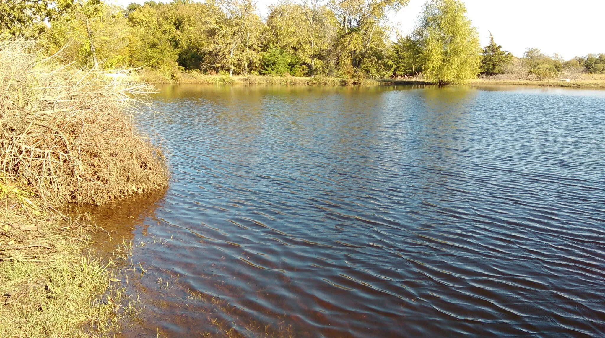 Expansive body of water with natural shoreline