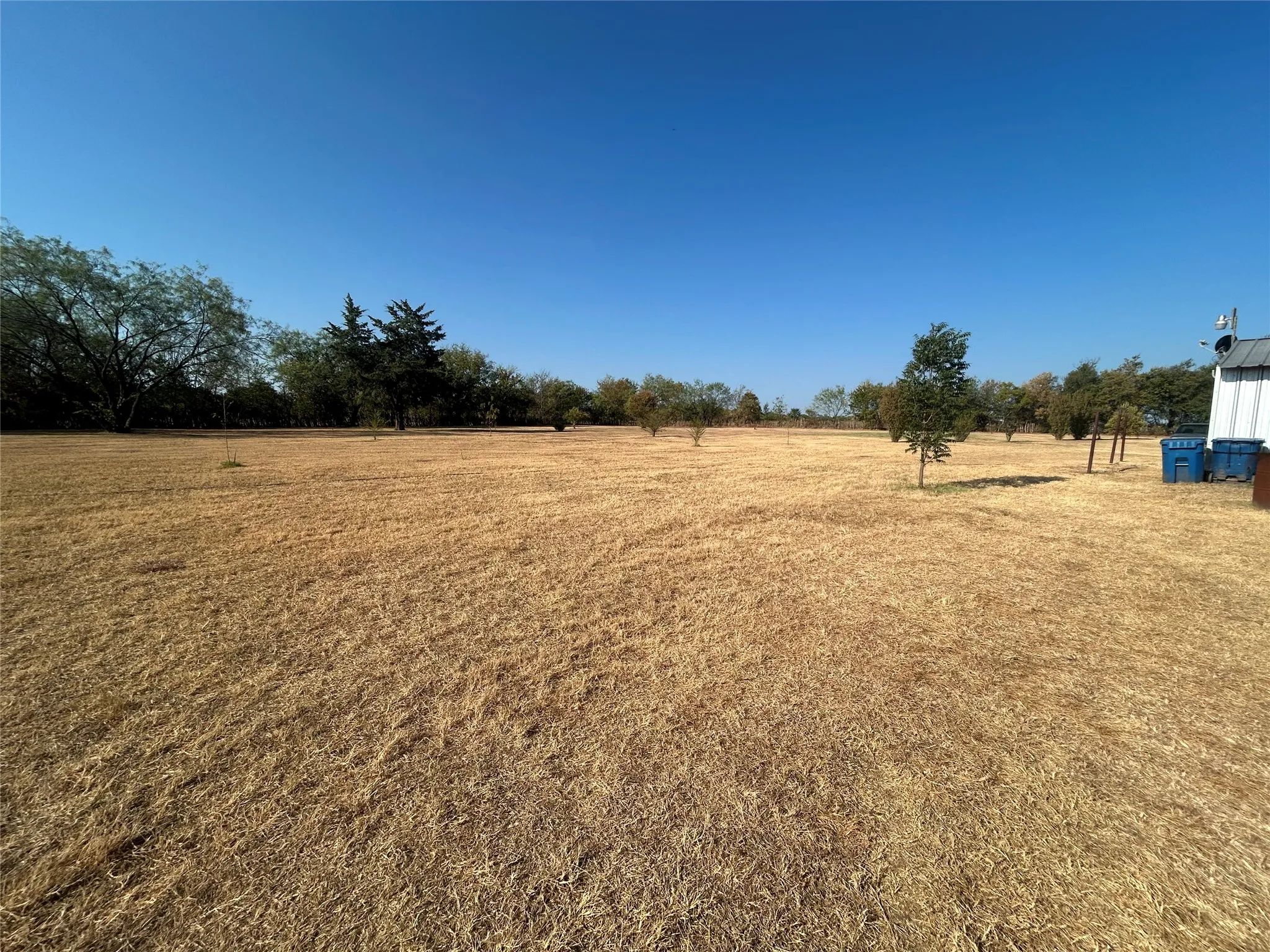 Expansive open field with scattered trees and a clear sky