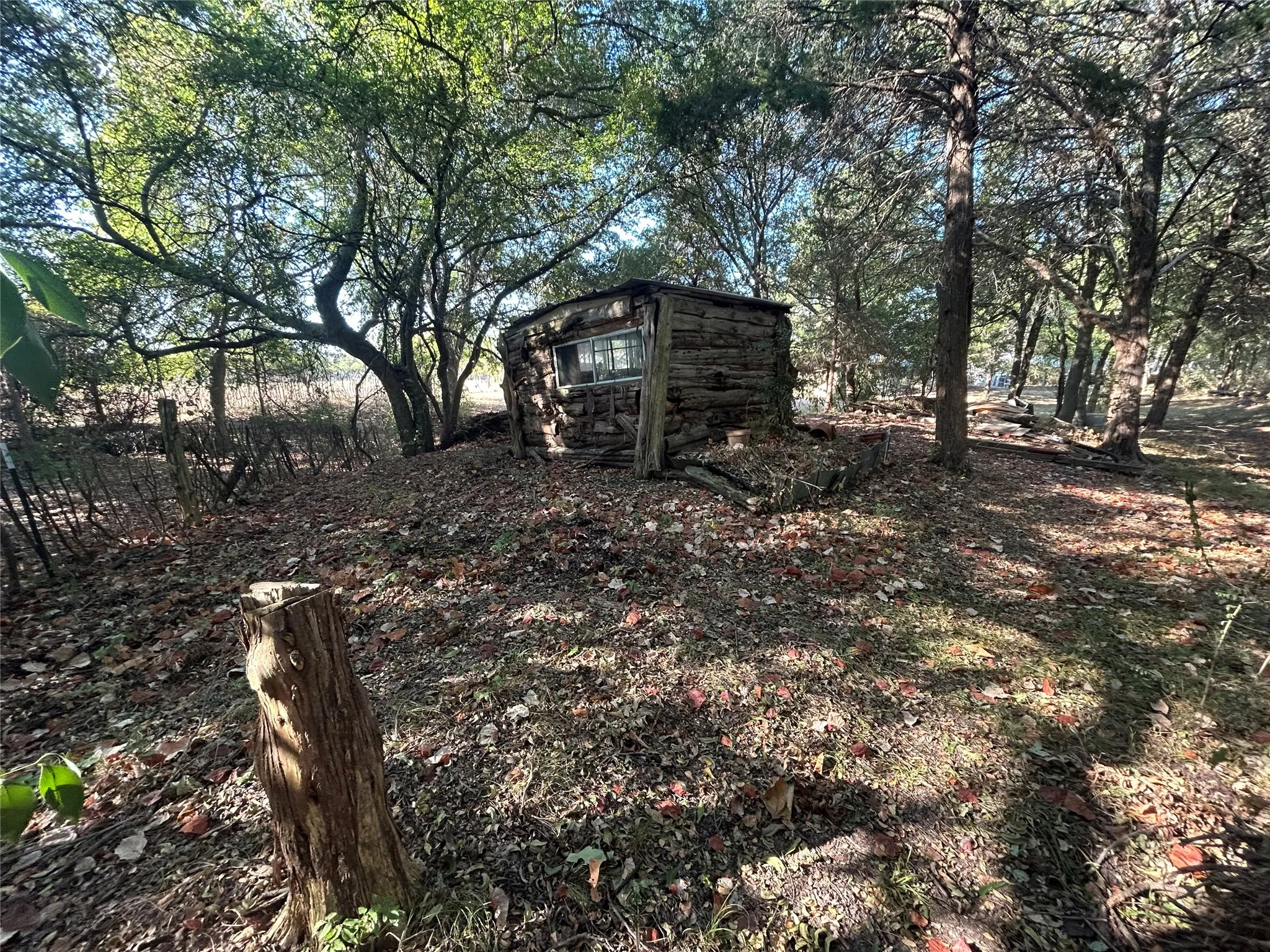 Rustic outbuilding with a single window, surrounded by mature trees, and a ground cover of foliage