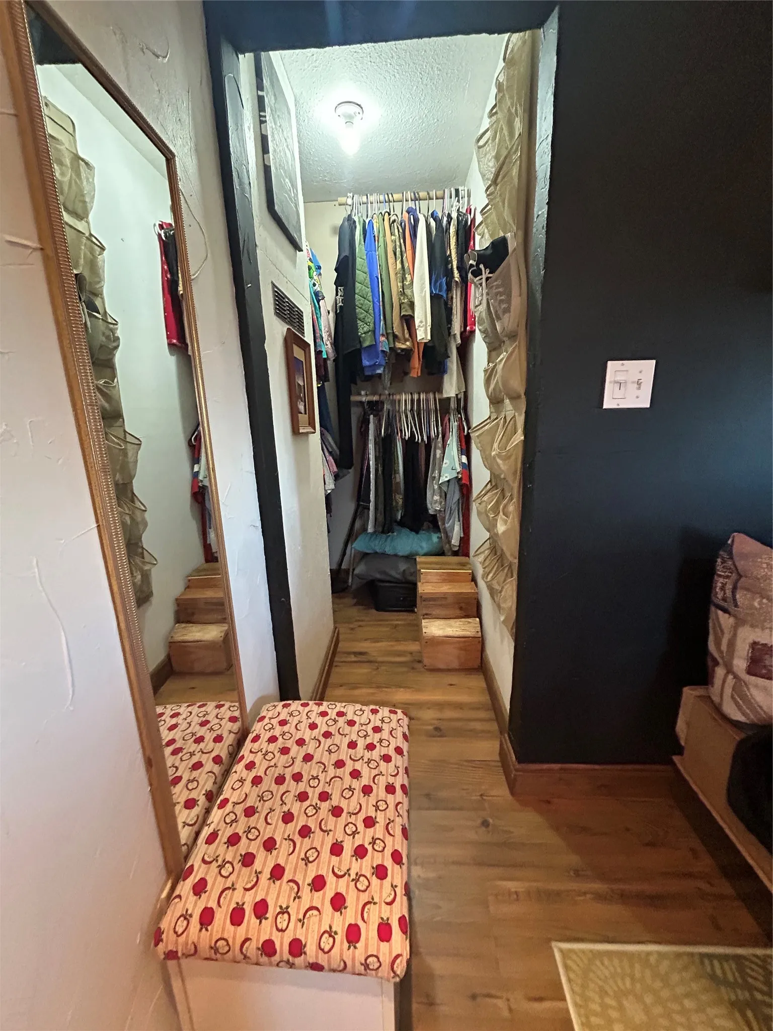 Walk-in closet featuring a built-in clothing rod system, wood-finish flooring, and overhead lighting