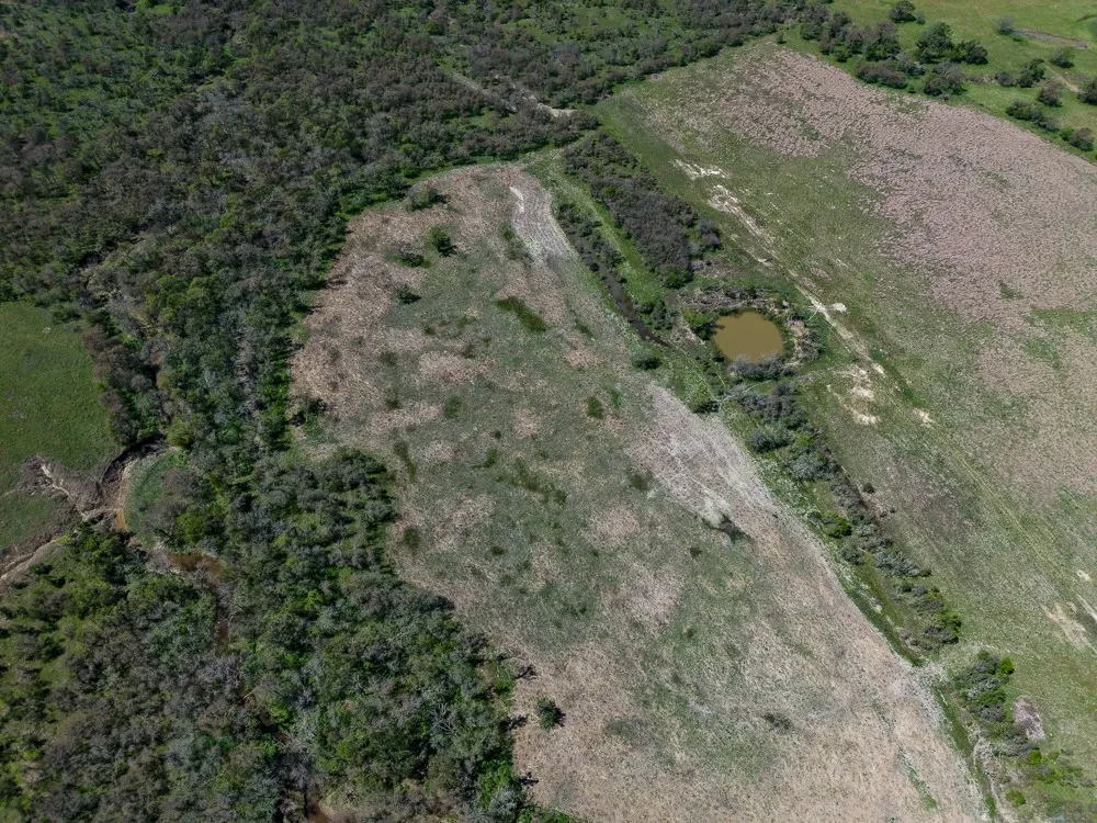 Improved Land For Sale in Limestone County , 000 CR636, Groesbeck, Texas 76642, 0, 0, Garage spaces, 0 Sqft, built in 0, mls#21393951, Real Estate Agent in Groesbeck, Homes For Sale in Limestone county, Homes For Sale in Groesbeck, Realtor in Groesbeck Texas, Real Estate Brokerage Independent Realty Texas, Luminita Cordes Realtor