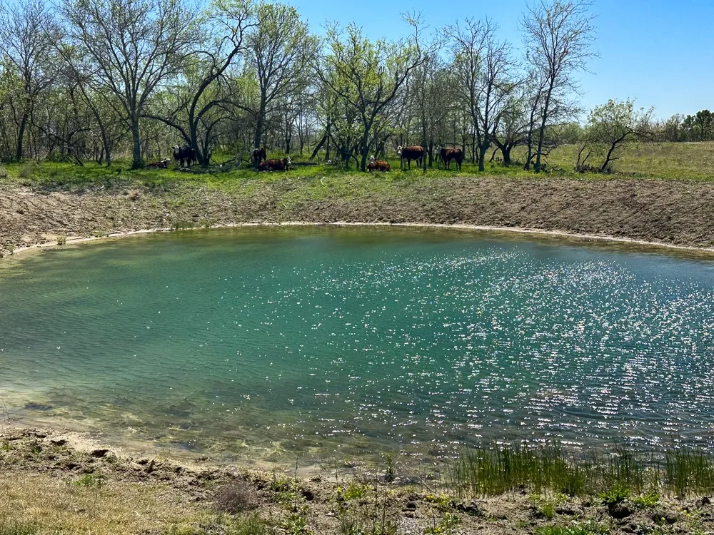Improved Land For Sale in Limestone County , 000 CR636, Groesbeck, Texas 76642, 0, 0, Garage spaces, 0 Sqft, built in 0, mls#21393951, Real Estate Agent in Groesbeck, Homes For Sale in Limestone county, Homes For Sale in Groesbeck, Realtor in Groesbeck Texas, Real Estate Brokerage Independent Realty Texas, Luminita Cordes Realtor